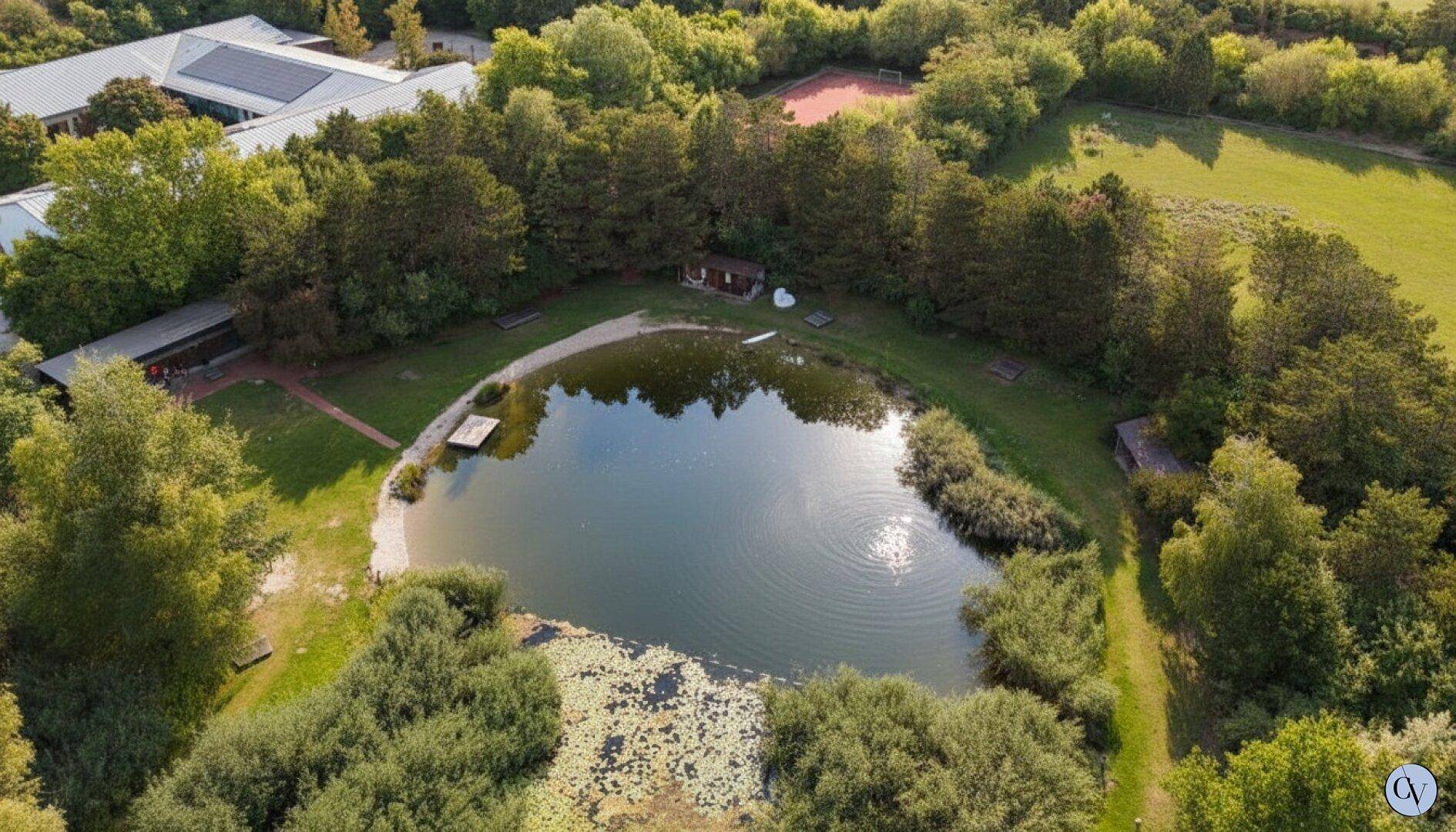 Idyllischer Naturteich umgeben von dichtem Grün und Bäumen, mit kleinen Stegen am Ufer.