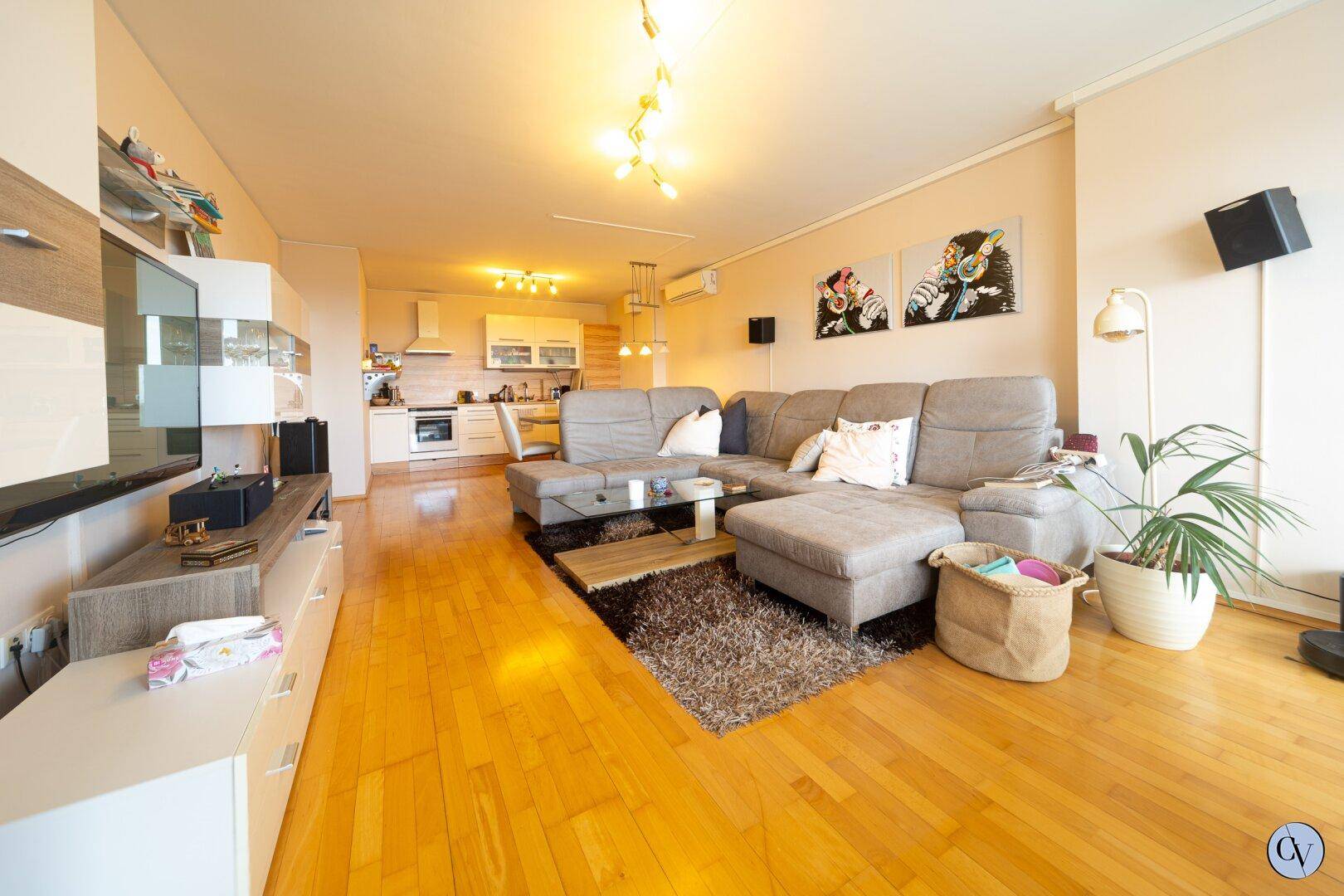 Offener Wohnbereich mit integrierter Küche, Holzboden und modernem Sofa.