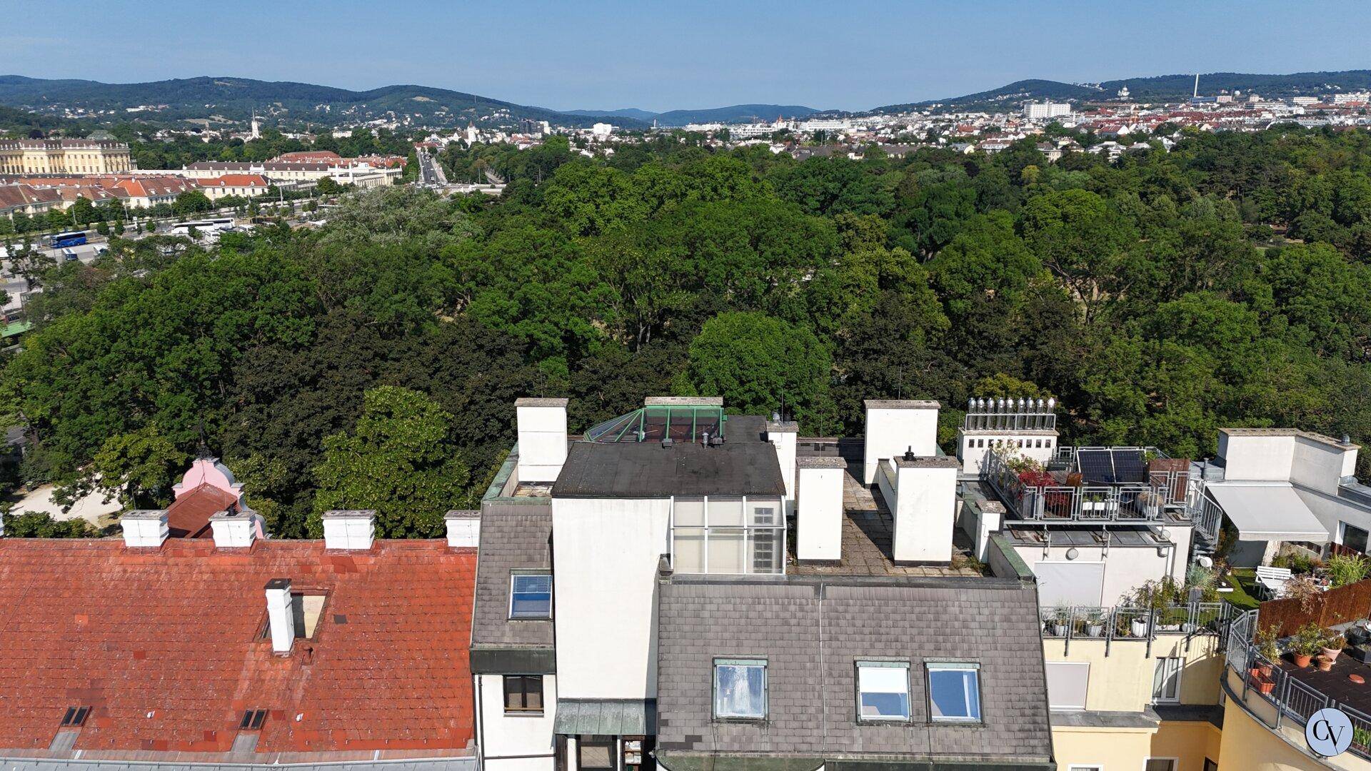Dächerlandschaft mit Blick auf einen großen Wald und hügelige Landschaft im Hintergrund.