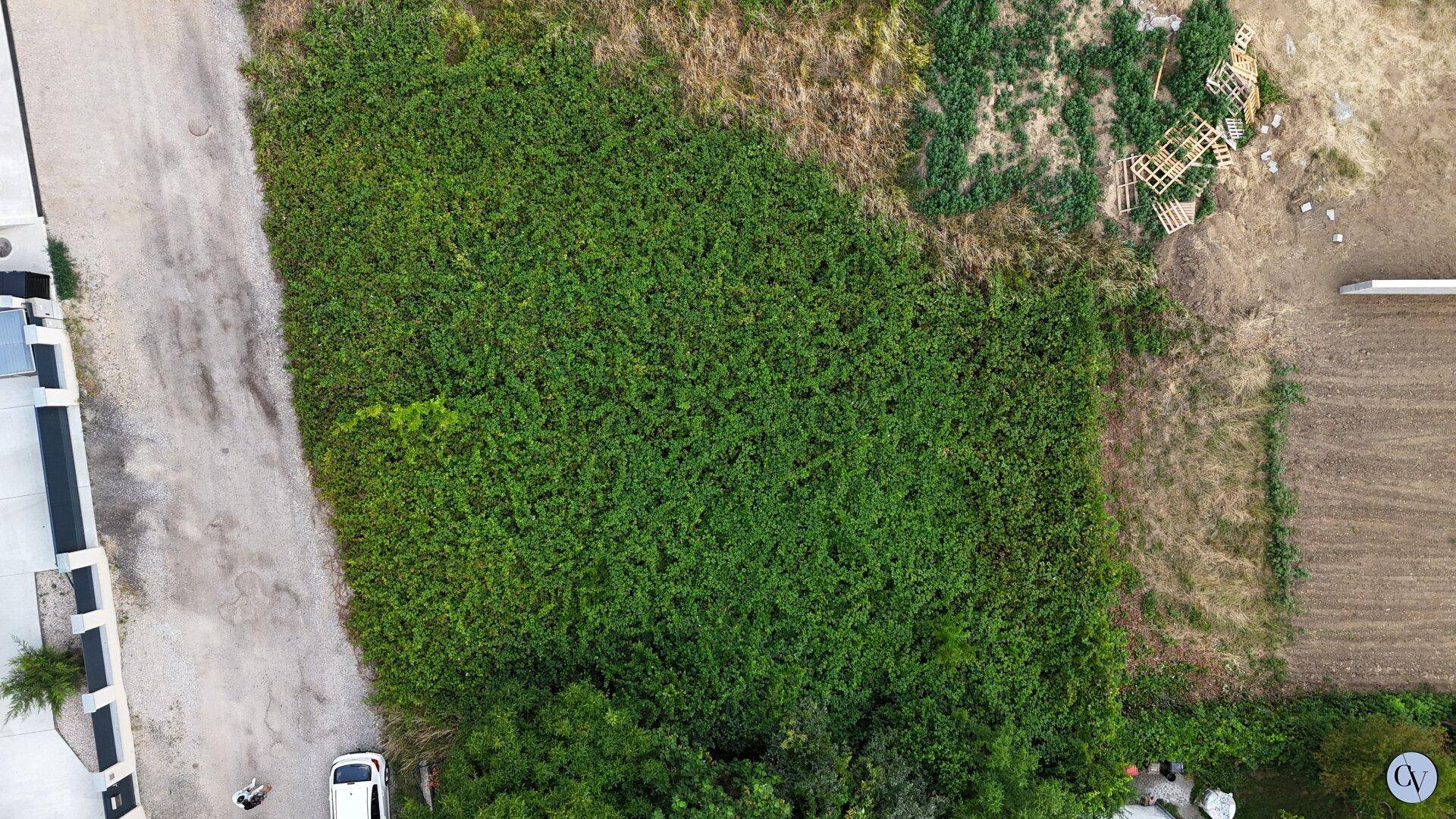 Weitläufiges, grünes Grundstück aus der Vogelperspektive, umgeben von Vegetation und Wegen.