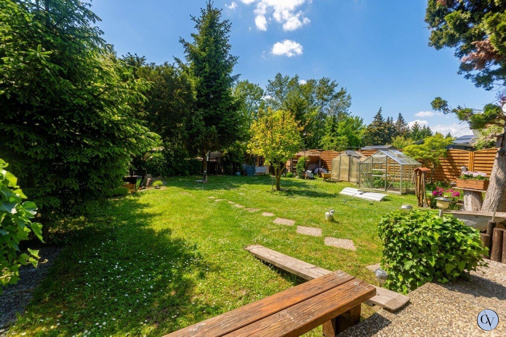 Sonniger Garten mit Rasen, Holzbank und Gewächshaus, umgeben von hohen Bäumen und Hecken.