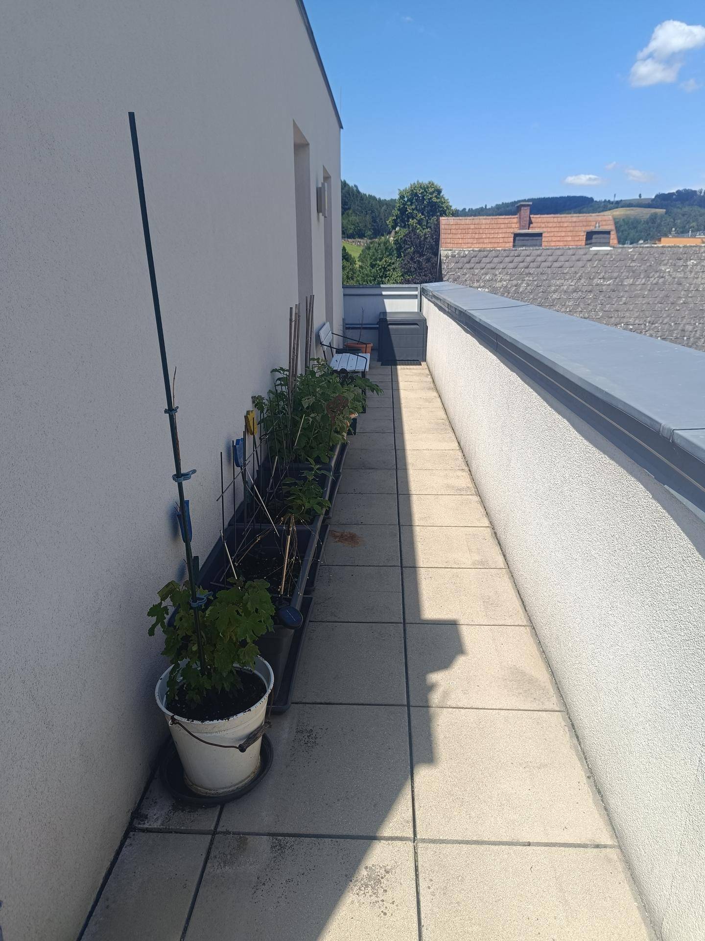Langer Balkon mit vielen Pflanzen und weitem Blick auf die umliegende grüne Landschaft.