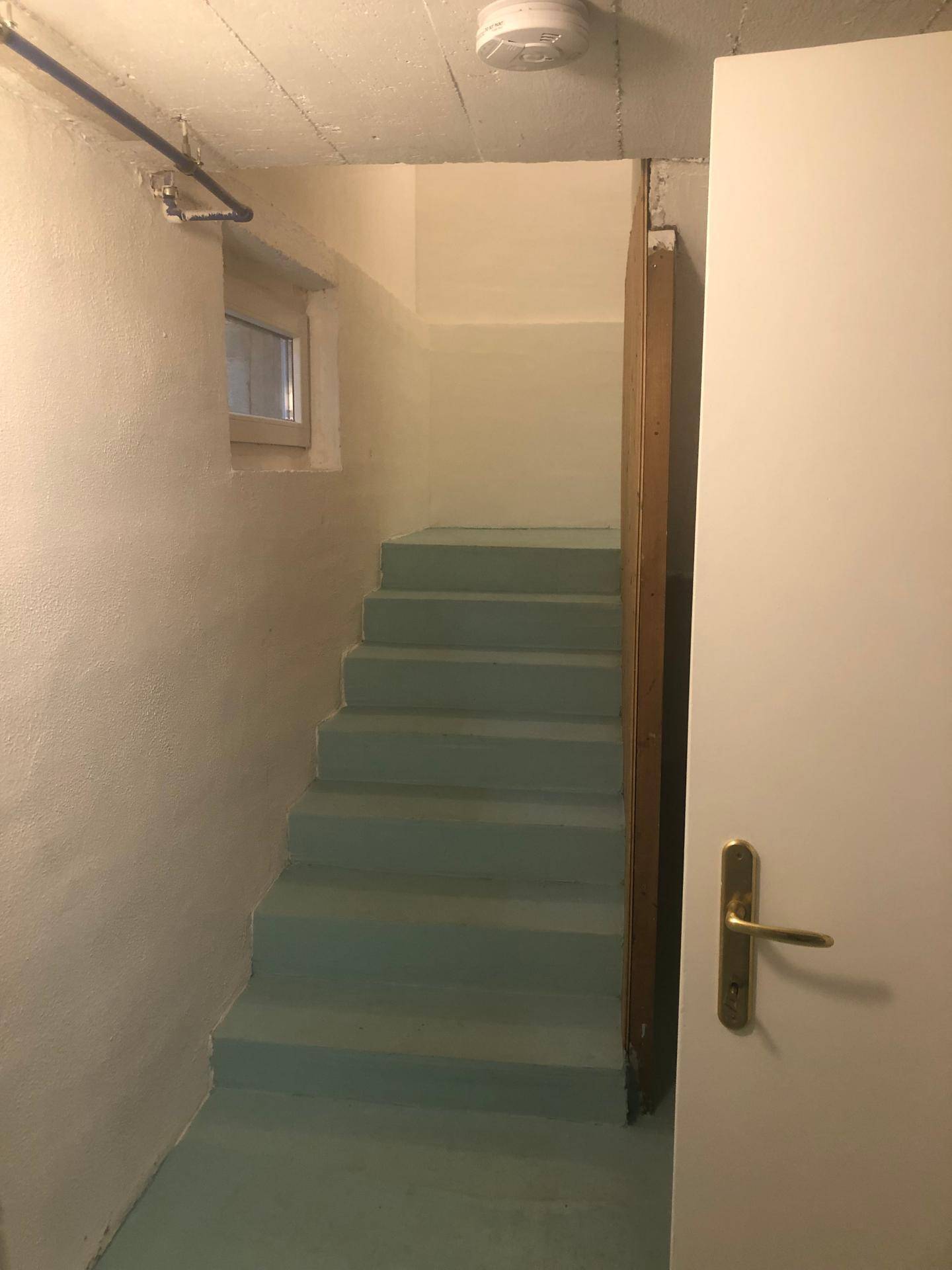 Kellerabgang mit gestrichenen Stufen und einem kleinen Fenster, das Tageslicht in den Keller bringt.