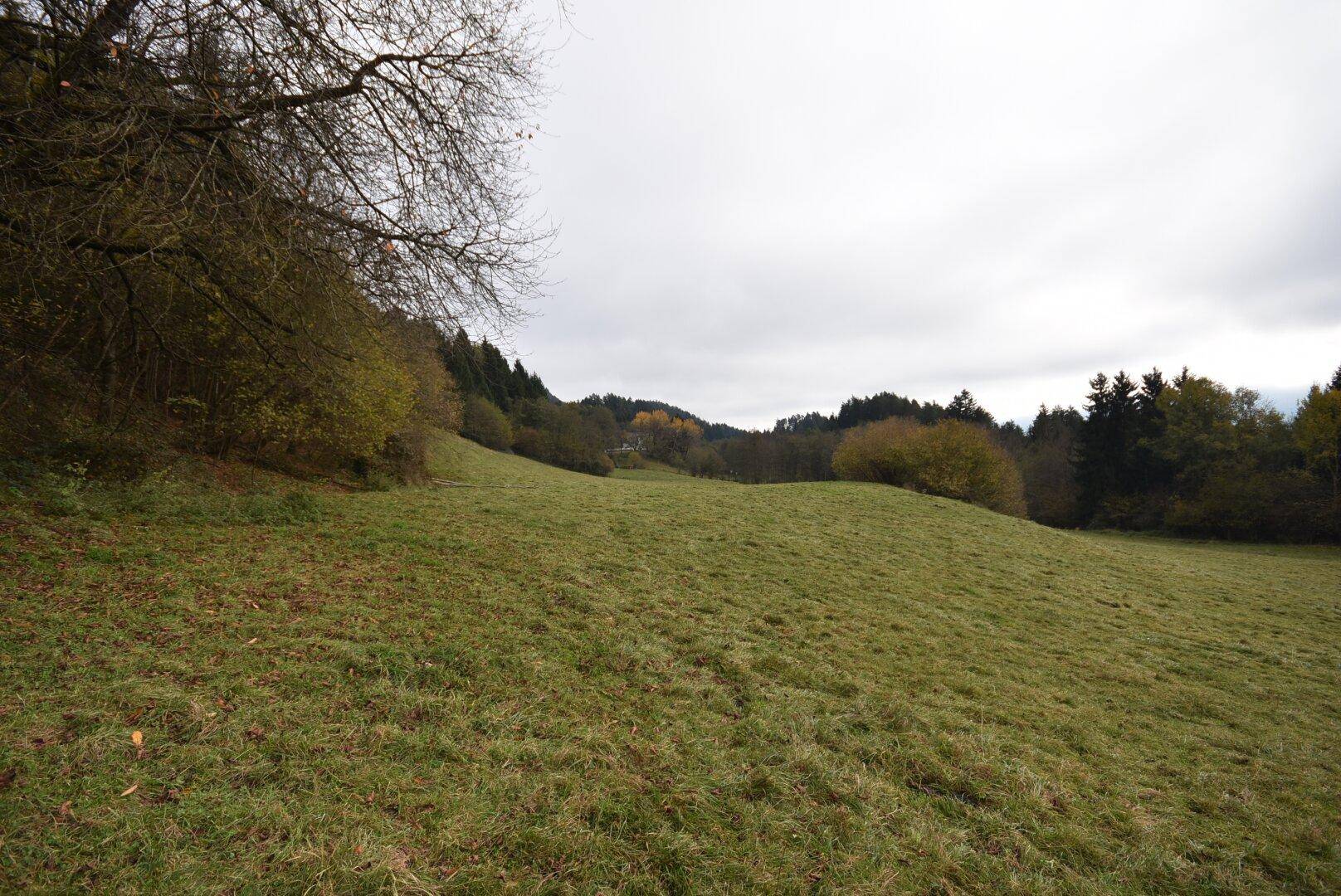 Grünflächen