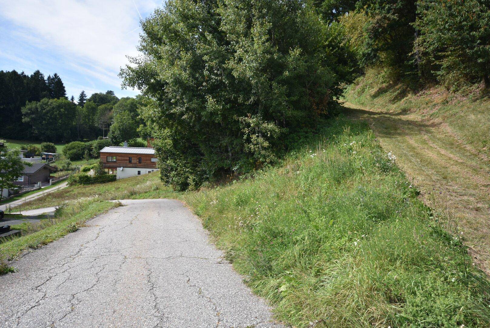Ruhige Hanglage mit Panoramablick oberhalb des Millstätter Sees - Ansicht 6