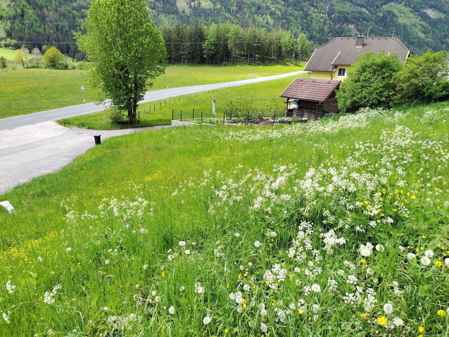 Malerische Landschaft mit einem traditionellen Haus, umgeben von blühenden Wiesen und Bergen.