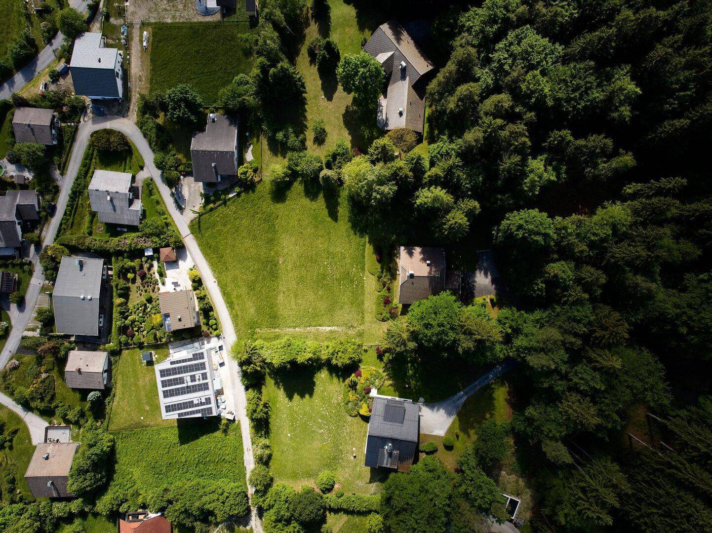 Luftaufnahme von Wohnhäusern, grünen Grundstücken und angrenzendem Waldgebiet.
