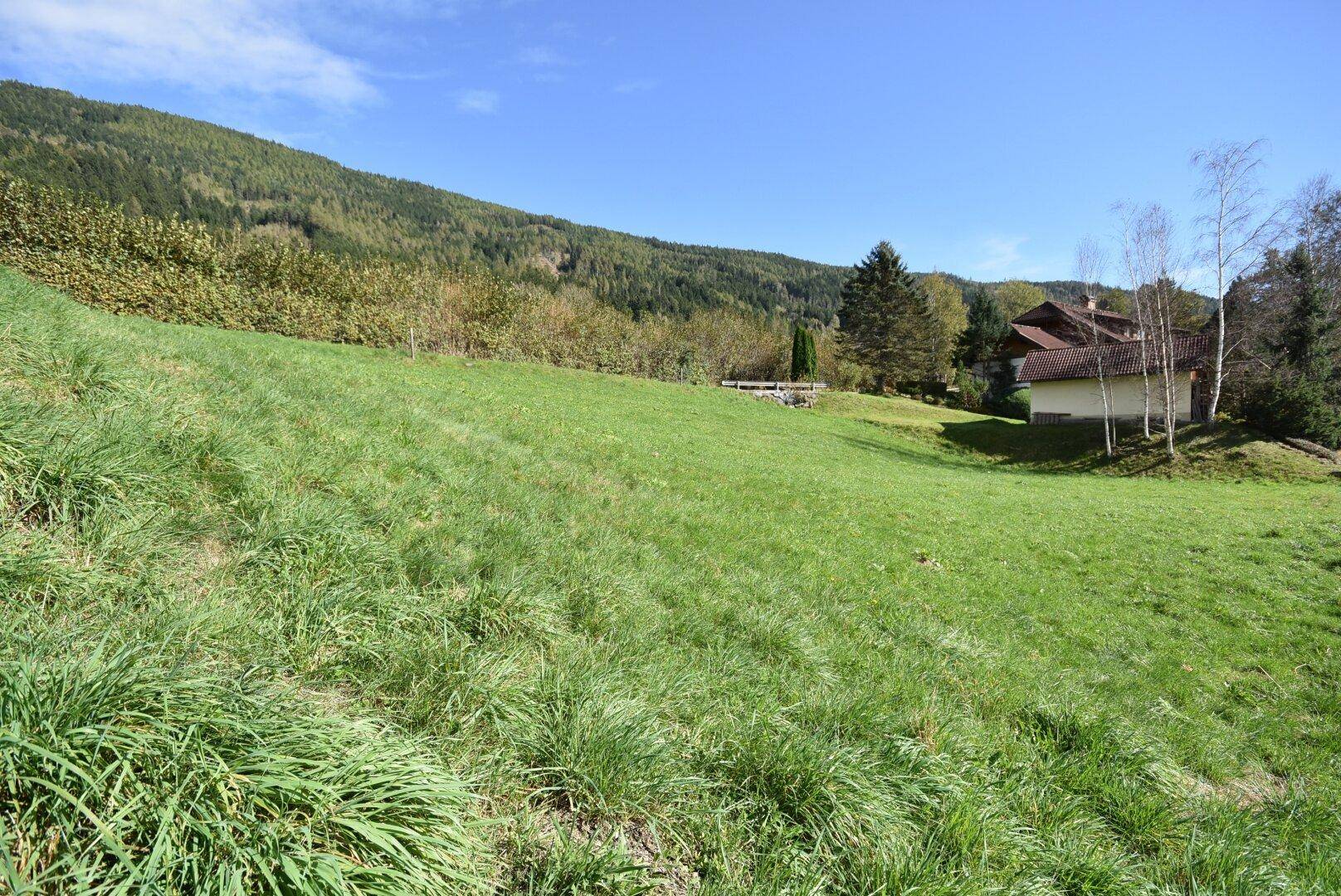 Grüne Wiese auf einem Hang mit einem Haus im Hintergrund und bewaldeten Bergen.