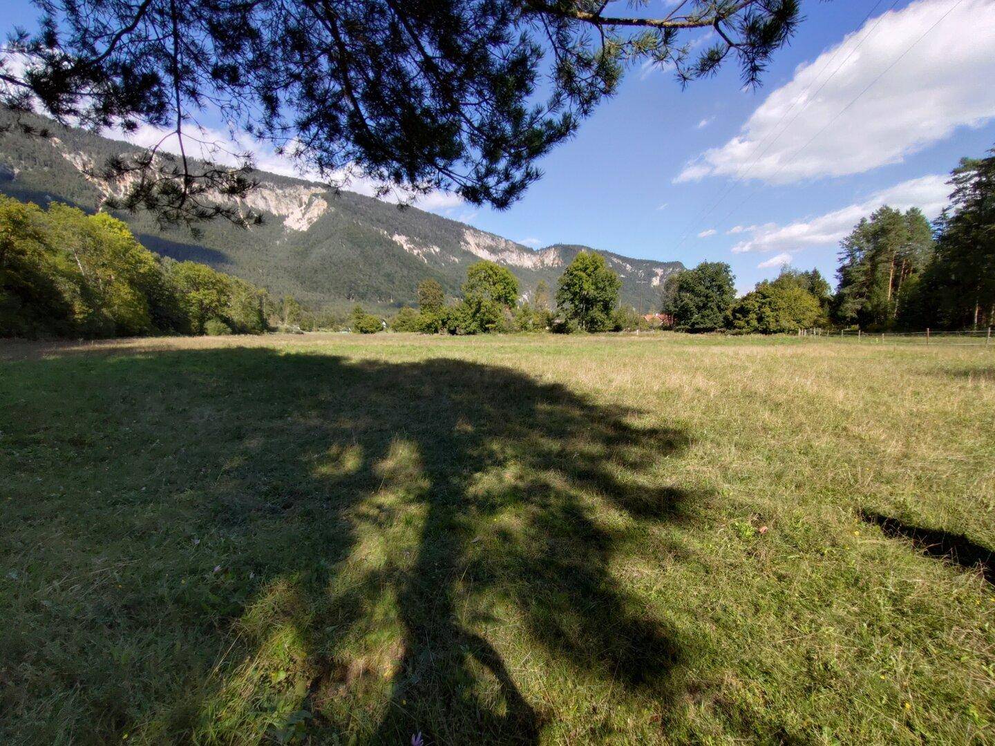 Sonnige Wiese mit Schattenwurf eines Baumes und majestätischen Bergen im Hintergrund.