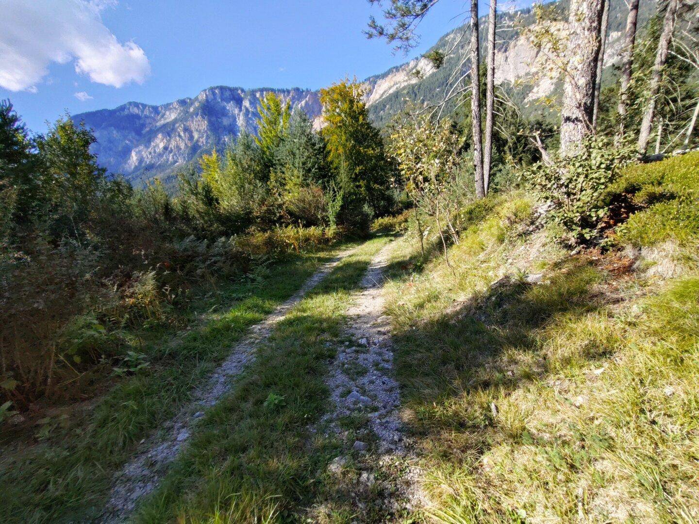 Schotterweg führt durch grüne Landschaft mit Blick auf ferne Berge.