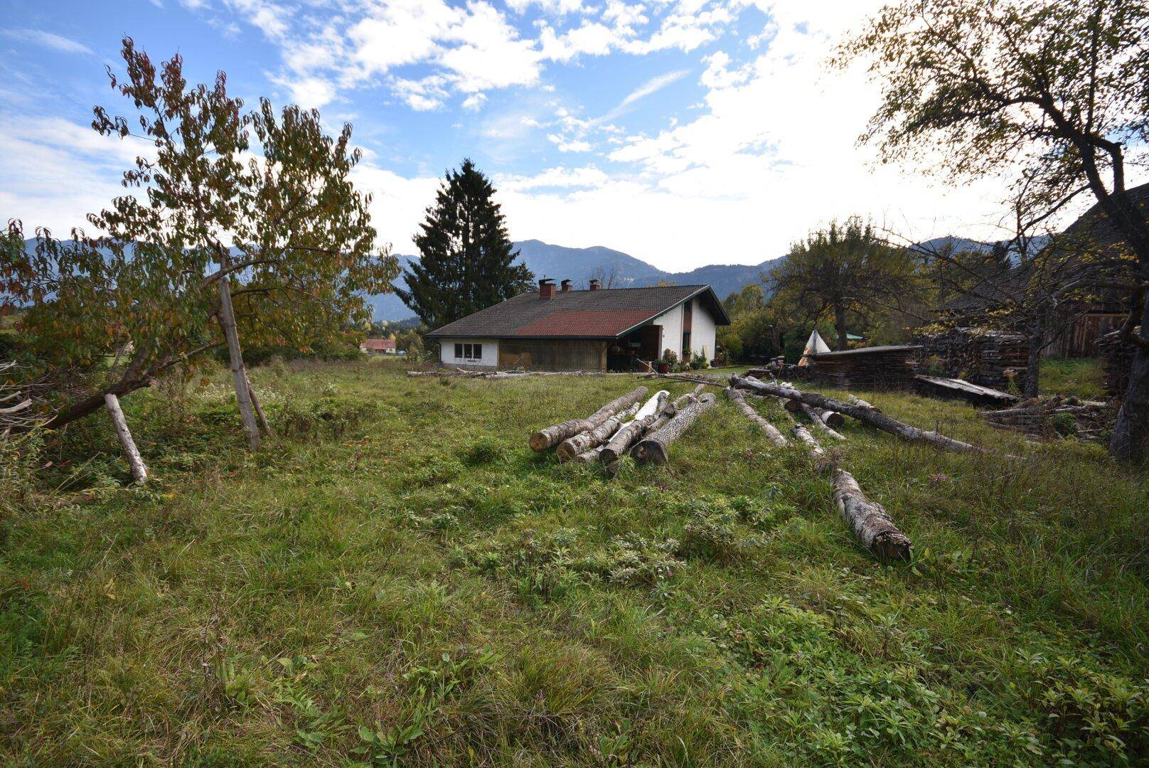 Großes Grundstück mit Baumstämmen, einem Haus im Hintergrund und Bergblick unter blauem Himmel.
