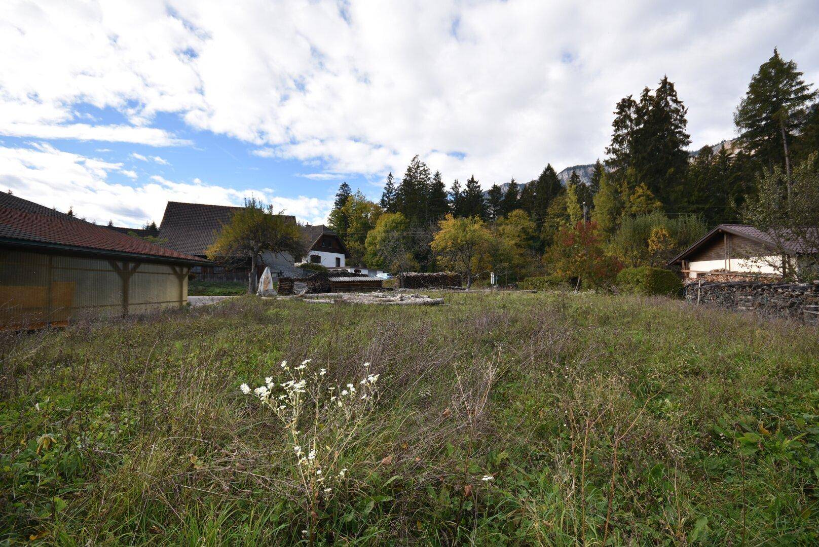 Unbebautes Grundstück mit wilder Vegetation, umgeben von Häusern, Bäumen und einer Bergkulisse.