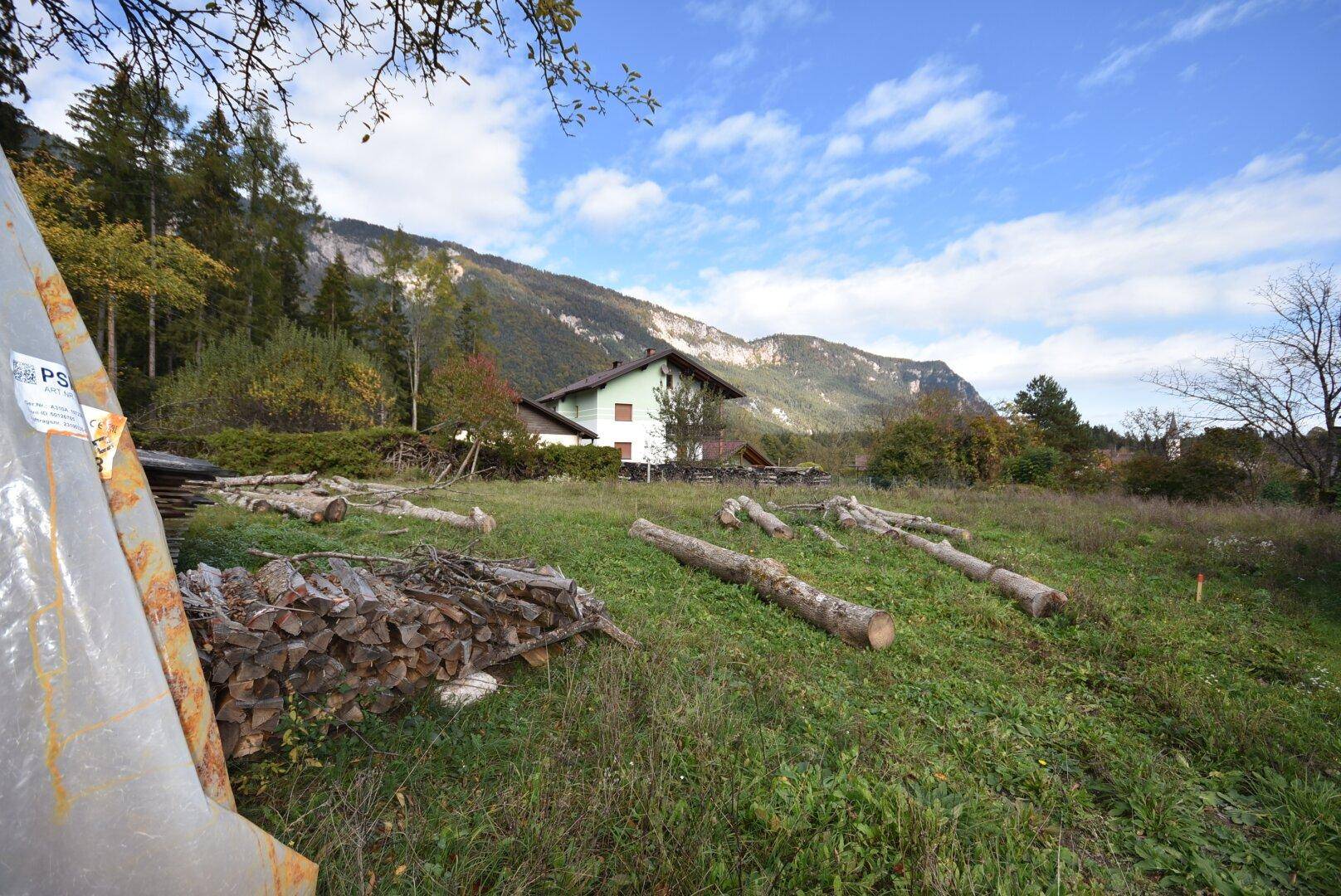 Weitläufiges Grundstück mit Holzstapeln, einem Haus und einer malerischen Berglandschaft im Hintergrund.