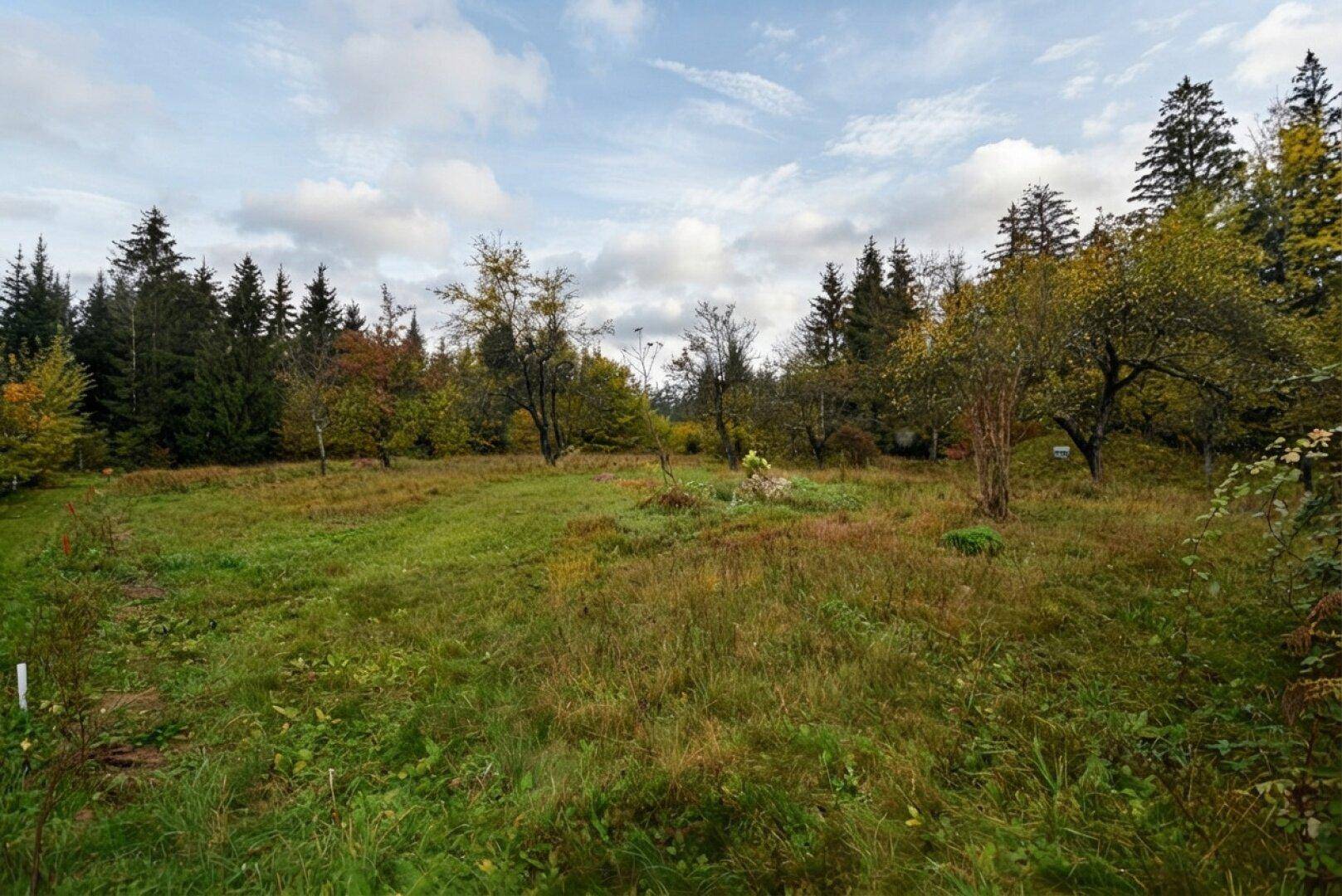 Weitläufiges, grünes Feld umgeben von Mischwald unter einem bewölkten Himmel.