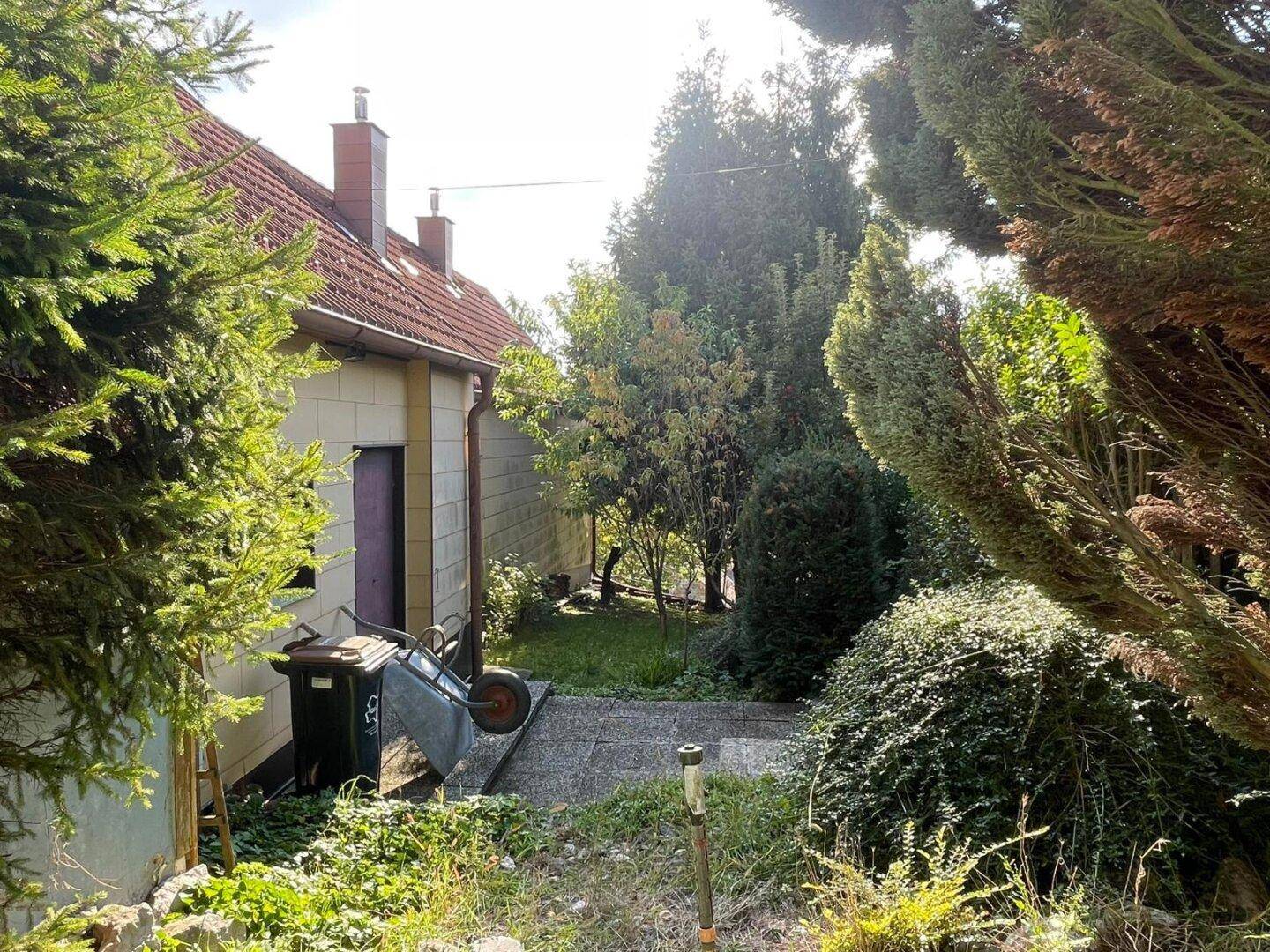 Seitenansicht des Hauses mit einem Gartenweg, Bäumen und Sträuchern im Sonnenlicht.