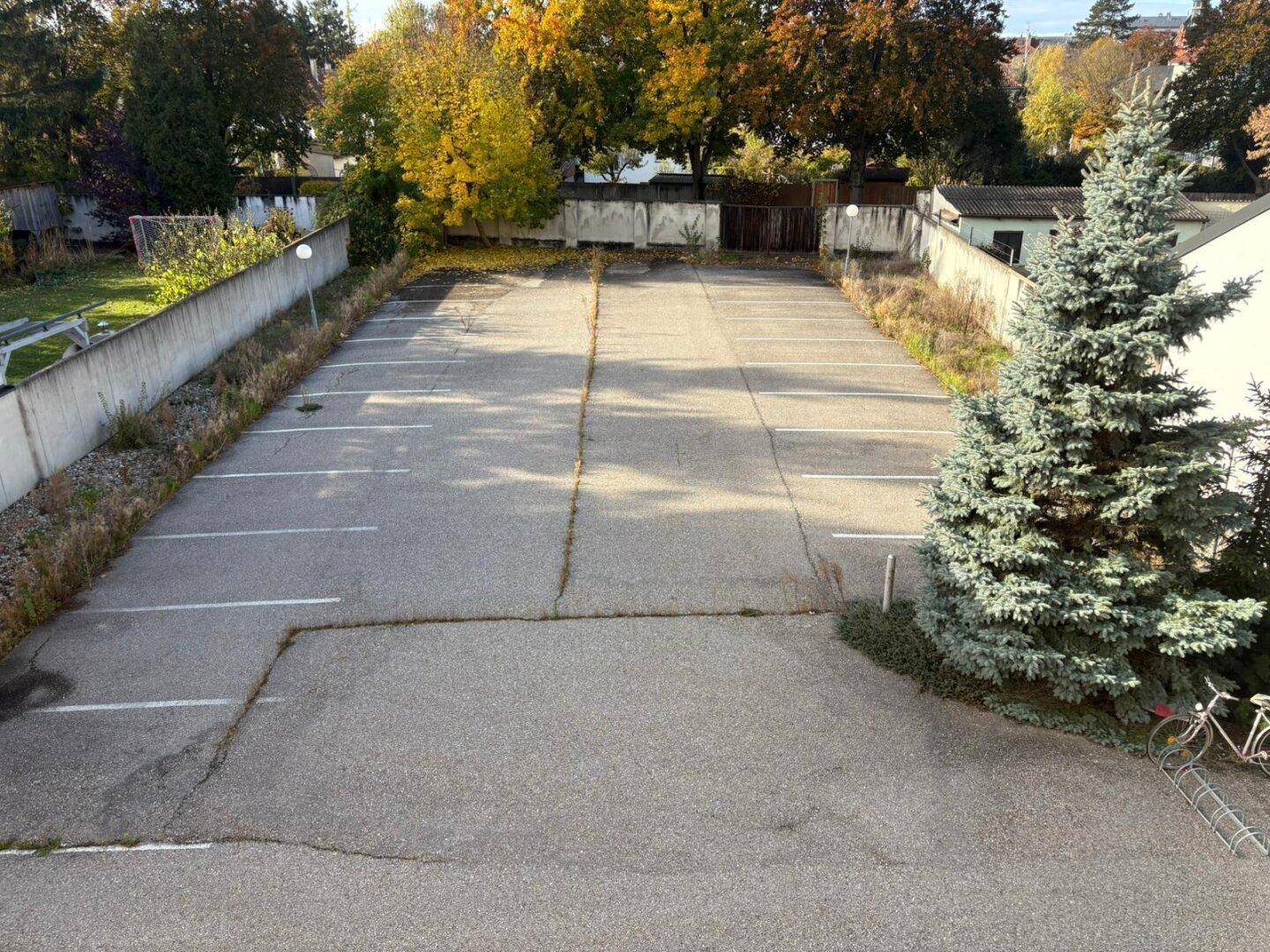 Großer asphaltierter Parkplatz mit Markierungen und umgebender Vegetation.