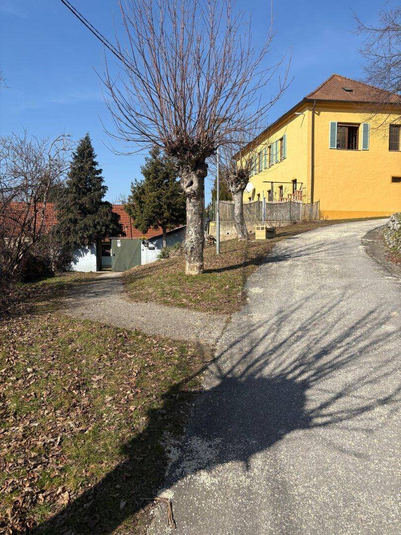 Sonniger Straßenblick mit einem markanten gelben Gebäude und kahlen Bäumen im Vordergrund.
