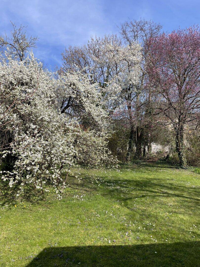 [Kaufanbot erhalten] Preiswertes Bauernhaus in Patzmannsdorf – ideal für Selbstverwirklicher! - Ansicht 6
