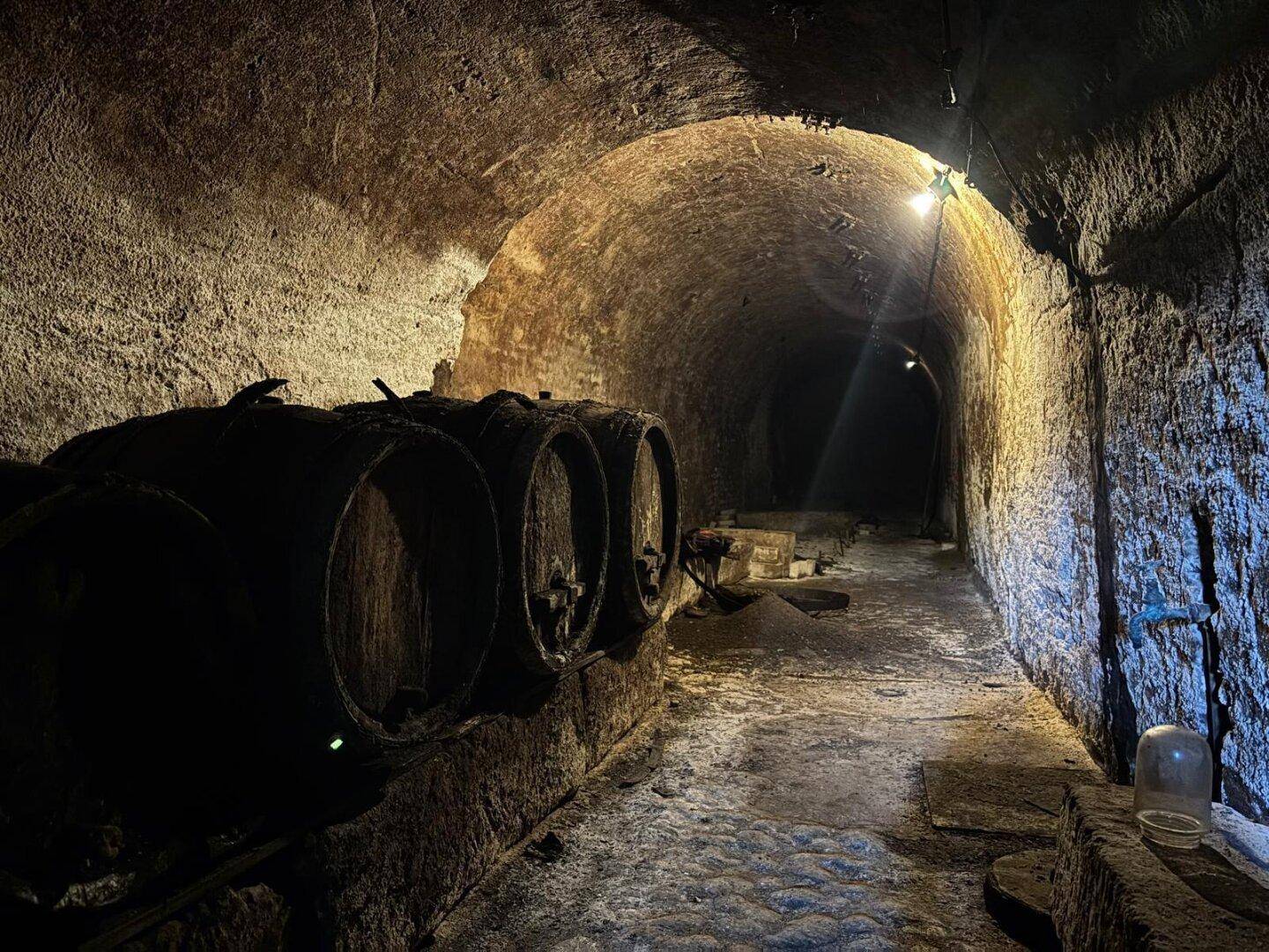 Historischer Weinkeller mit Gewölbedecke und alten Holzfässern in dunkler Atmosphäre.