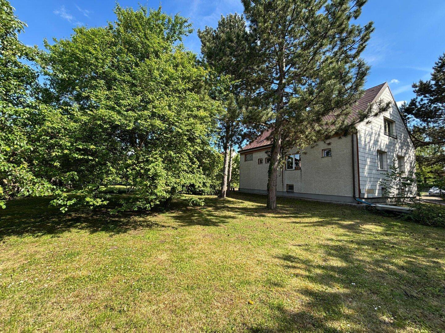 Weitläufiger Gartenbereich mit altem Baumbestand und Blick auf die Hausfassade.