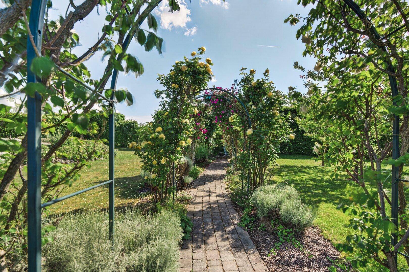 Gepflasterter Gartenweg führt durch einen blühenden Rosenbogen, umgeben von üppigem Grün und Blumen.