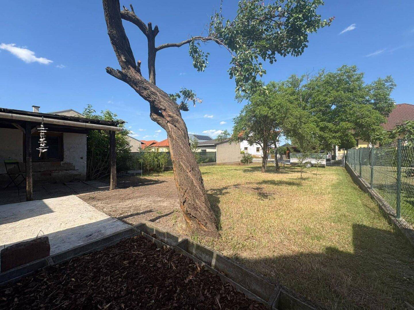 Weitläufiger Gartenbereich mit altem Baum, Rasen und sonnigen Plätzen.