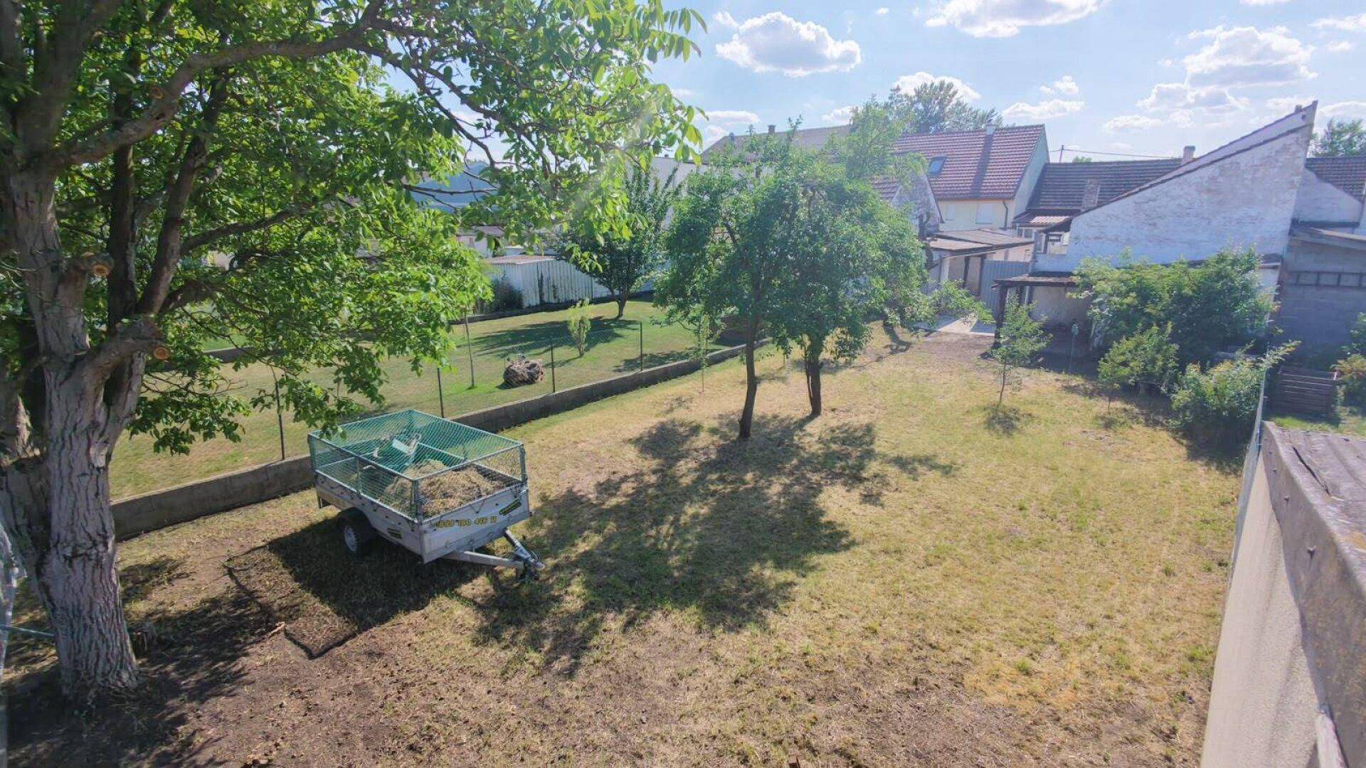 Großer Garten mit Rasenfläche, Obstbäumen und Blick auf die Nachbarschaft.