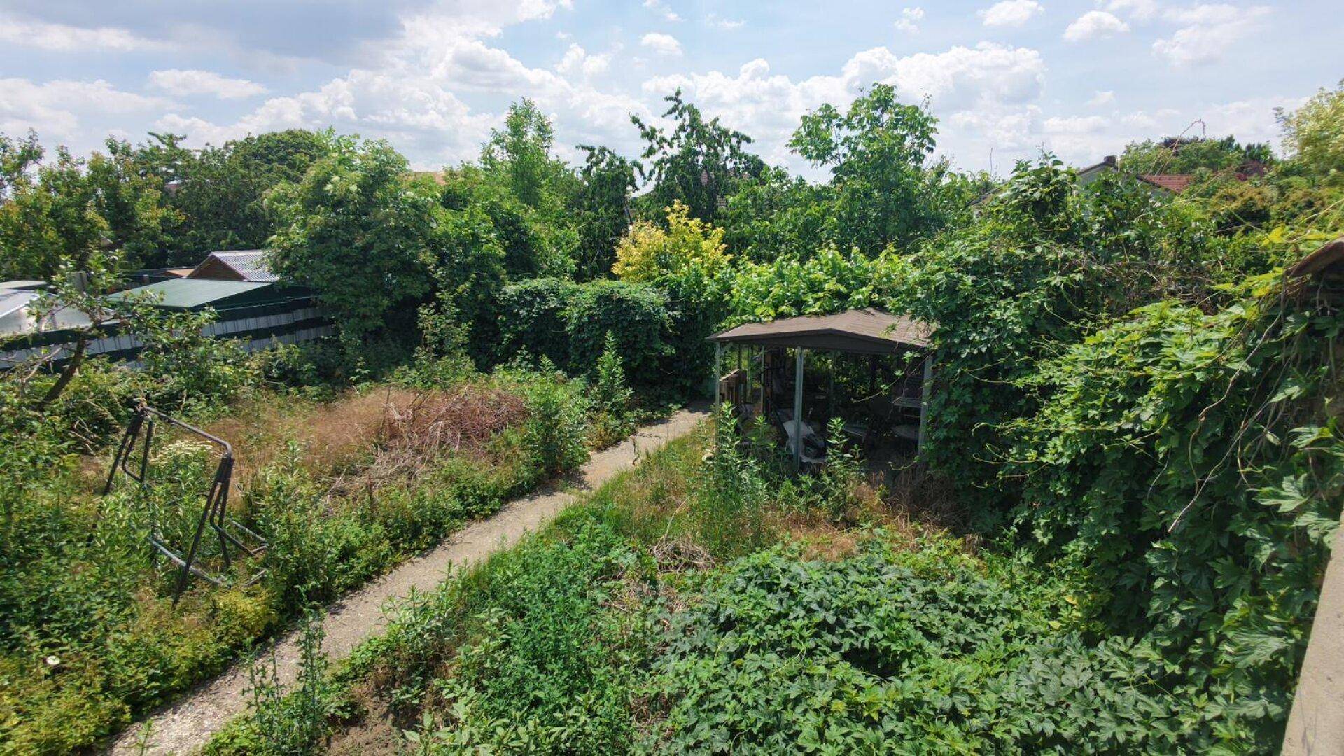 Verwunschener Garten mit einem Pfad, einem kleinen Pavillon und üppiger Vegetation.
