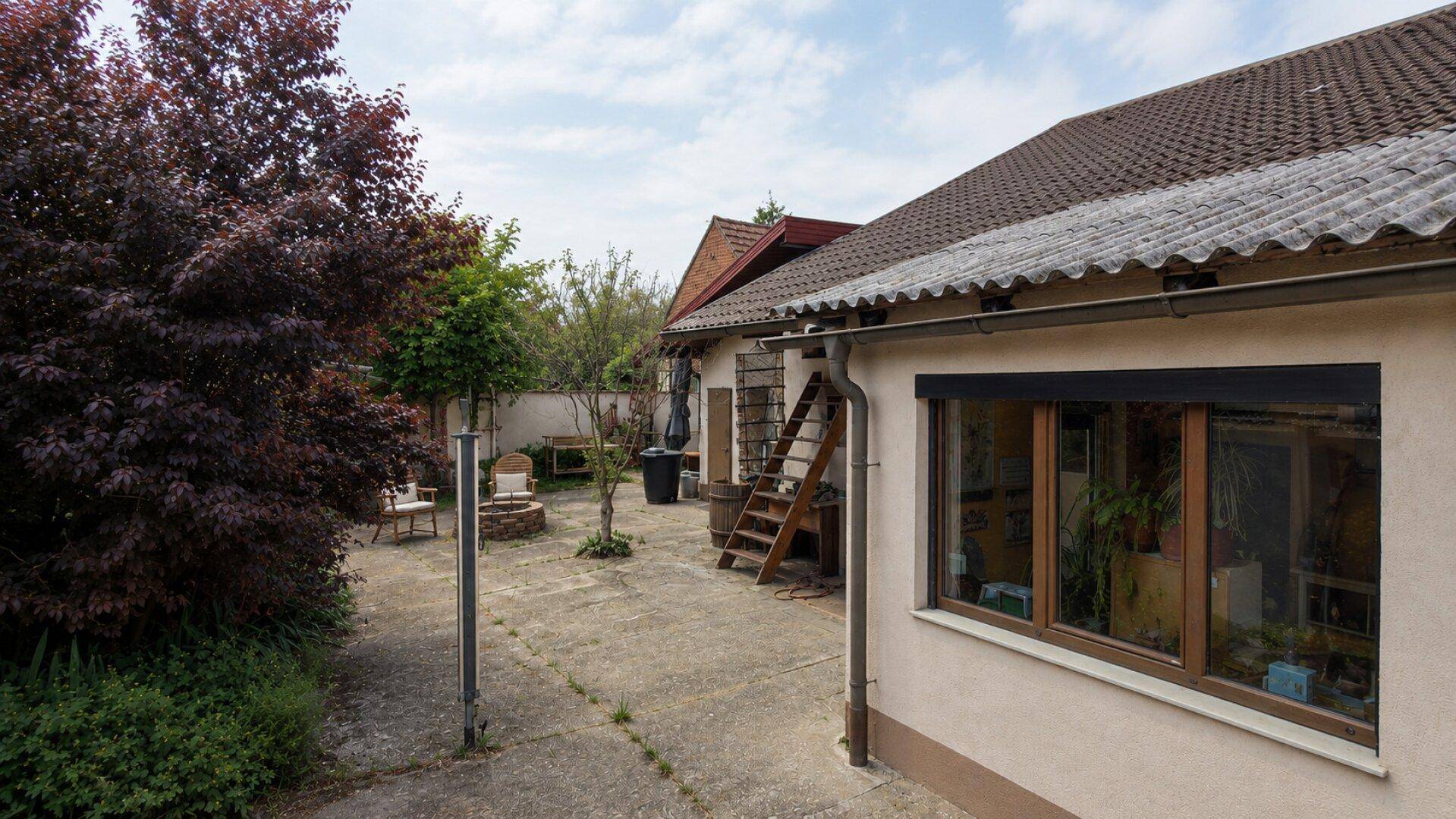 Hinterhofansicht eines Hauses mit Betonfläche, Bäumen und einer Holzleiter zum Obergeschoss.
