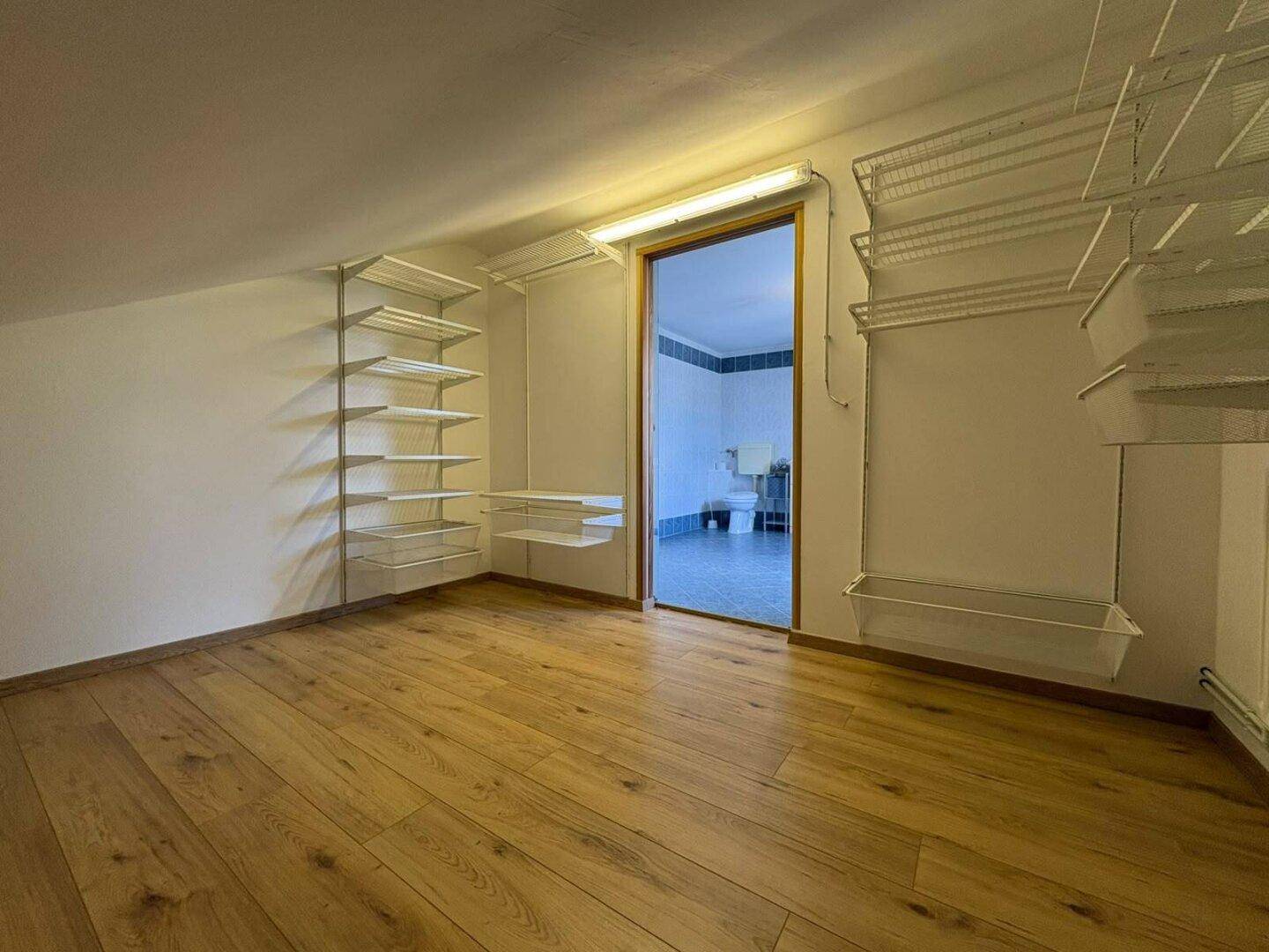 Praktischer Abstellraum mit Regalsystemen und Zugang zu einem Badezimmer.