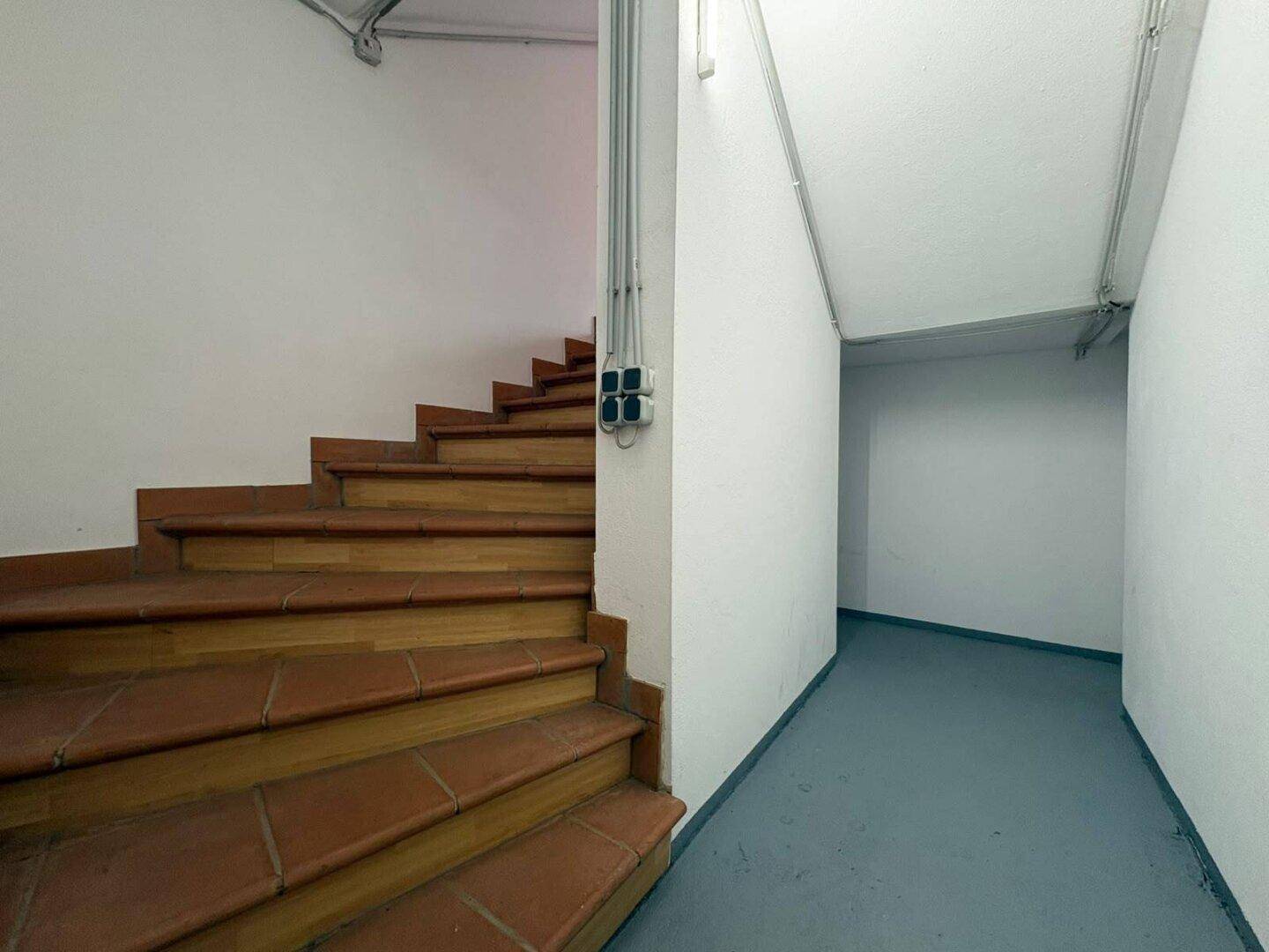 Treppenabgang in den Keller mit Terrakottastufen und einem Flur mit grauem Boden.
