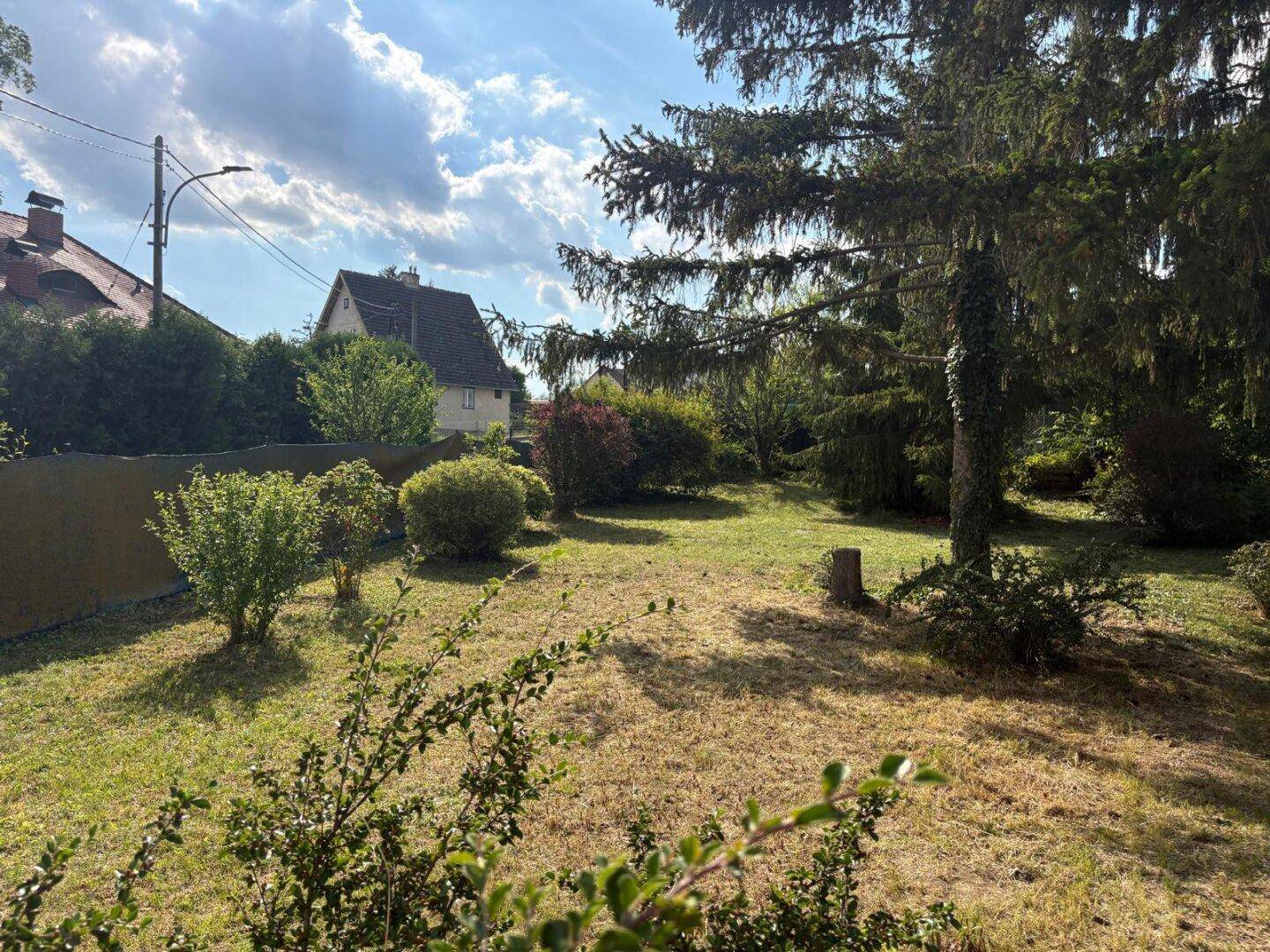 Großer, naturbelassener Gartenbereich mit Rasenfläche, Sträuchern und hohen Bäumen.
