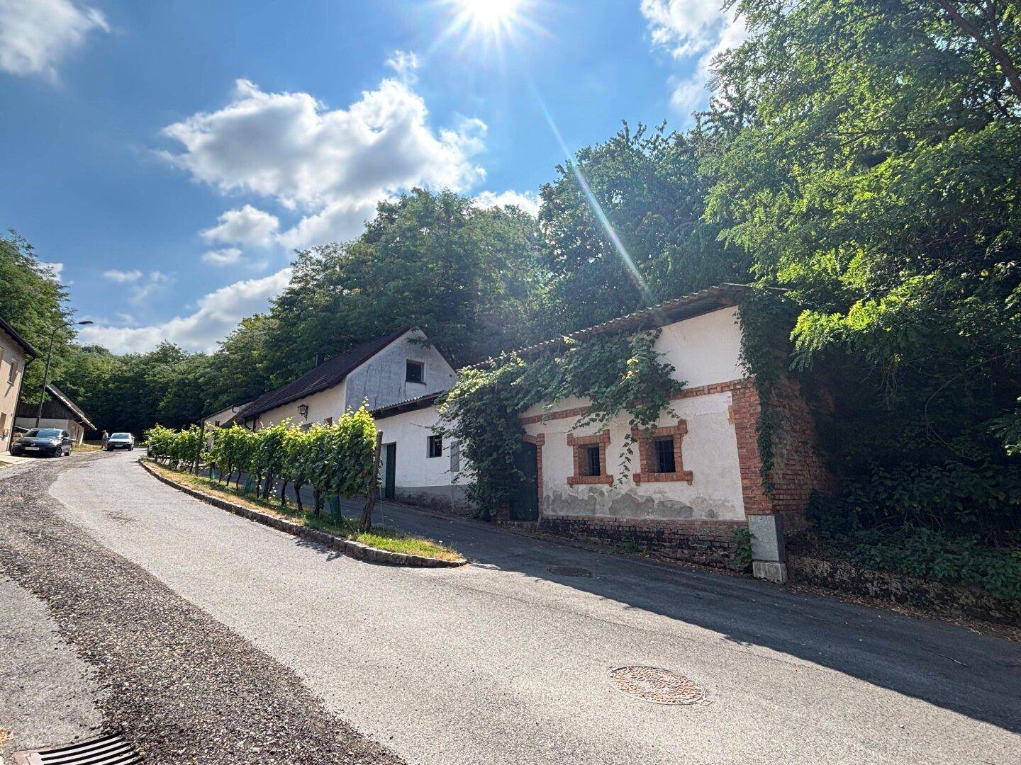 Ländliche Straße mit alten Gebäuden und Weinreben unter strahlend blauem Himmel.