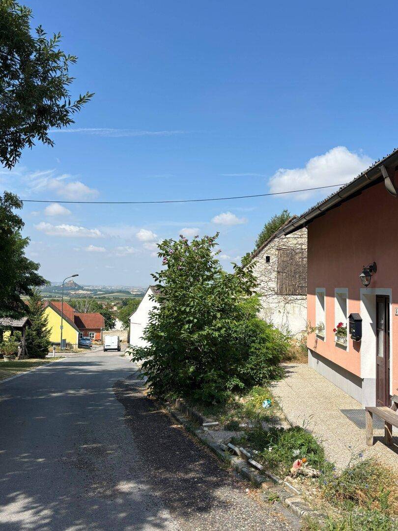 Ländliche Straße mit Häusern und Bäumen unter weitem Himmel.
