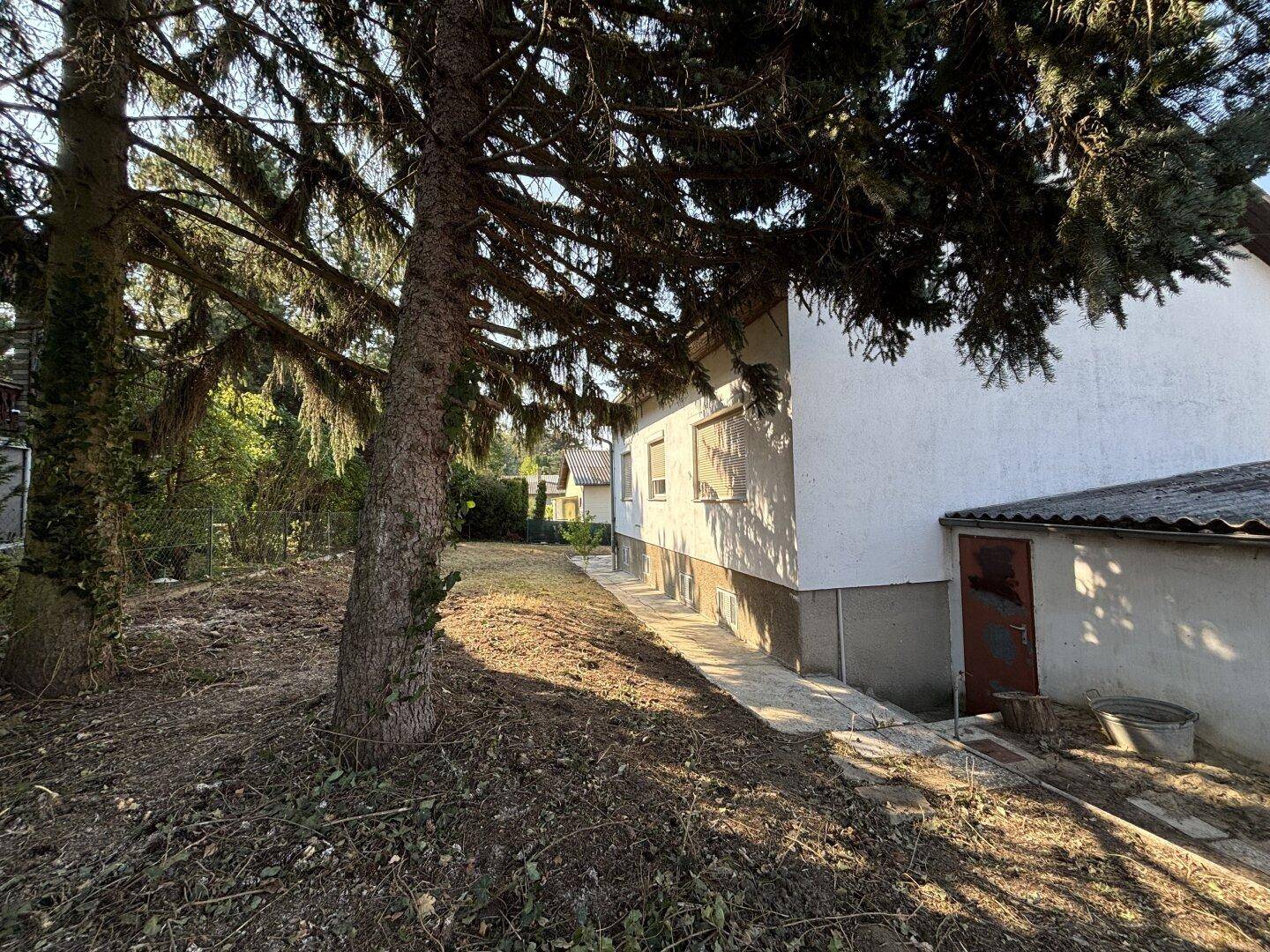 Seitenansicht des Hauses mit einem großen, teilweise gerodeten Gartenbereich und hohen Bäumen.