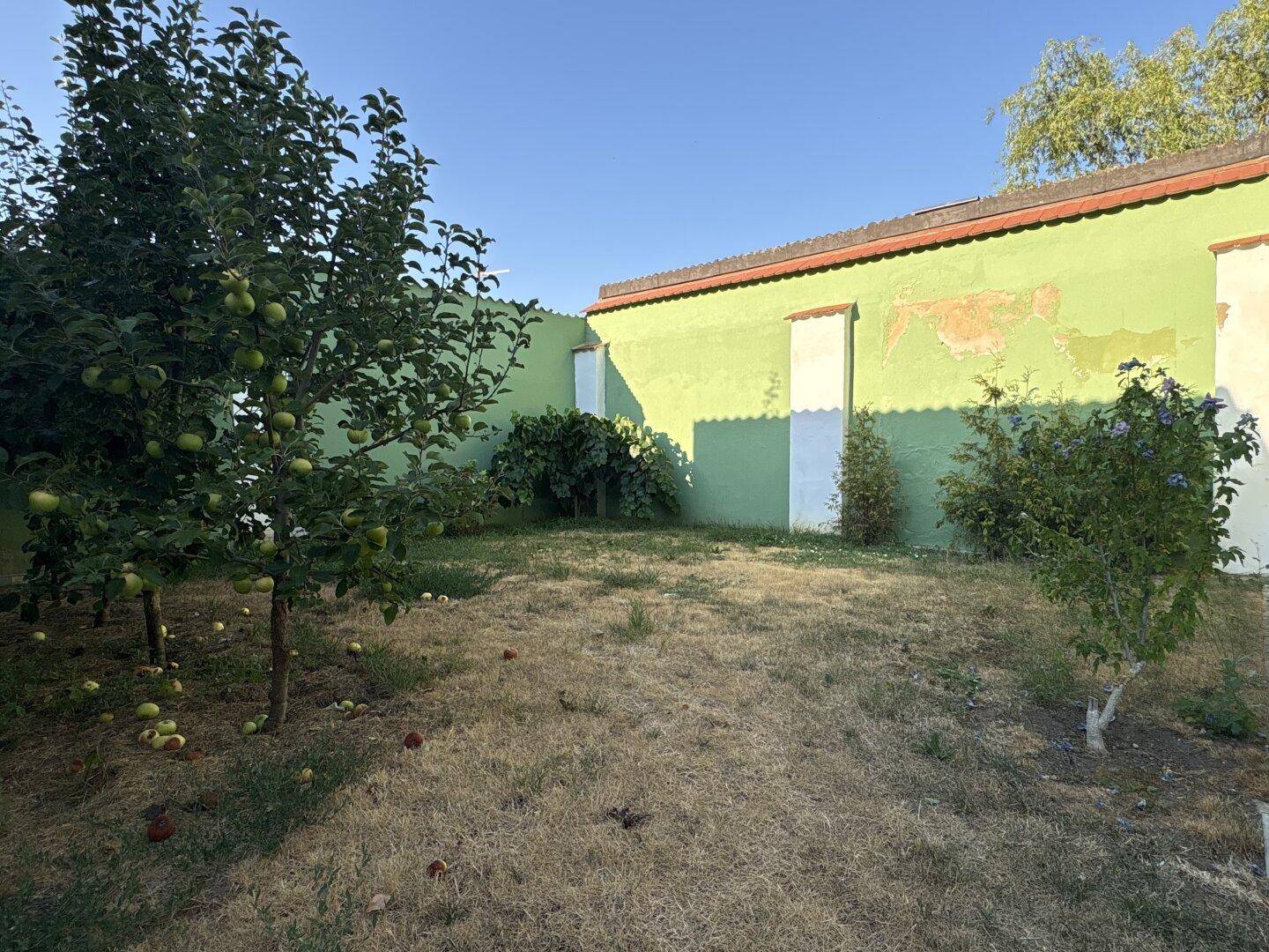 Gartenbereich mit Obstbäumen und einer grünen Wand im Hintergrund unter blauem Himmel.