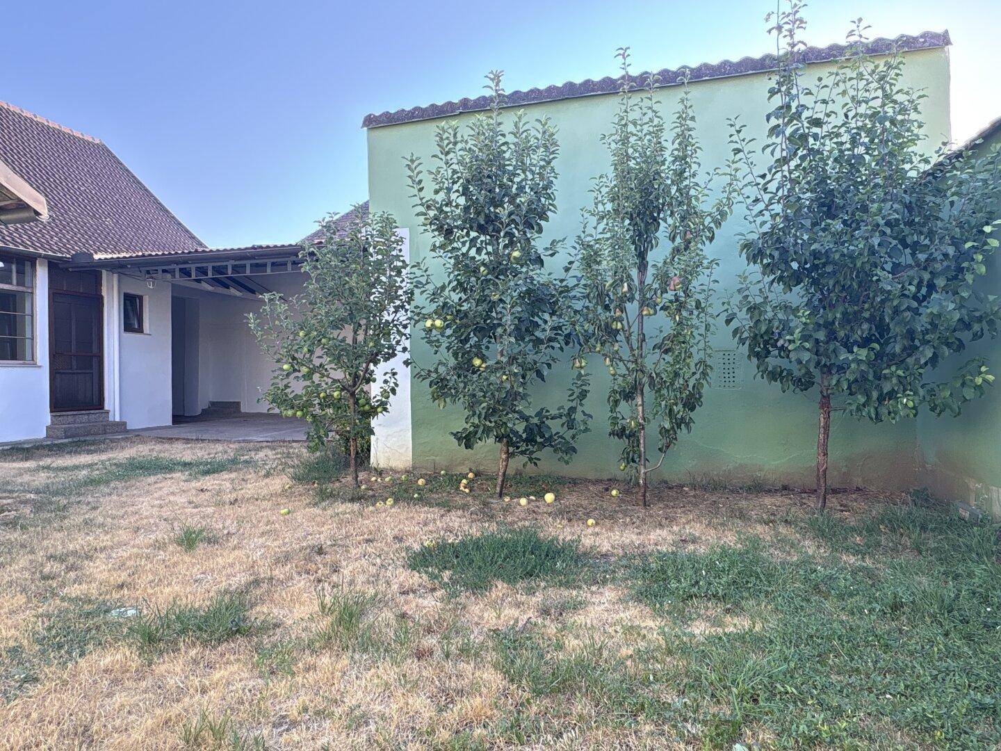 Garten mit jungen Obstbäumen und einer grünen Fassade im Hintergrund, ideal zum Entspannen.