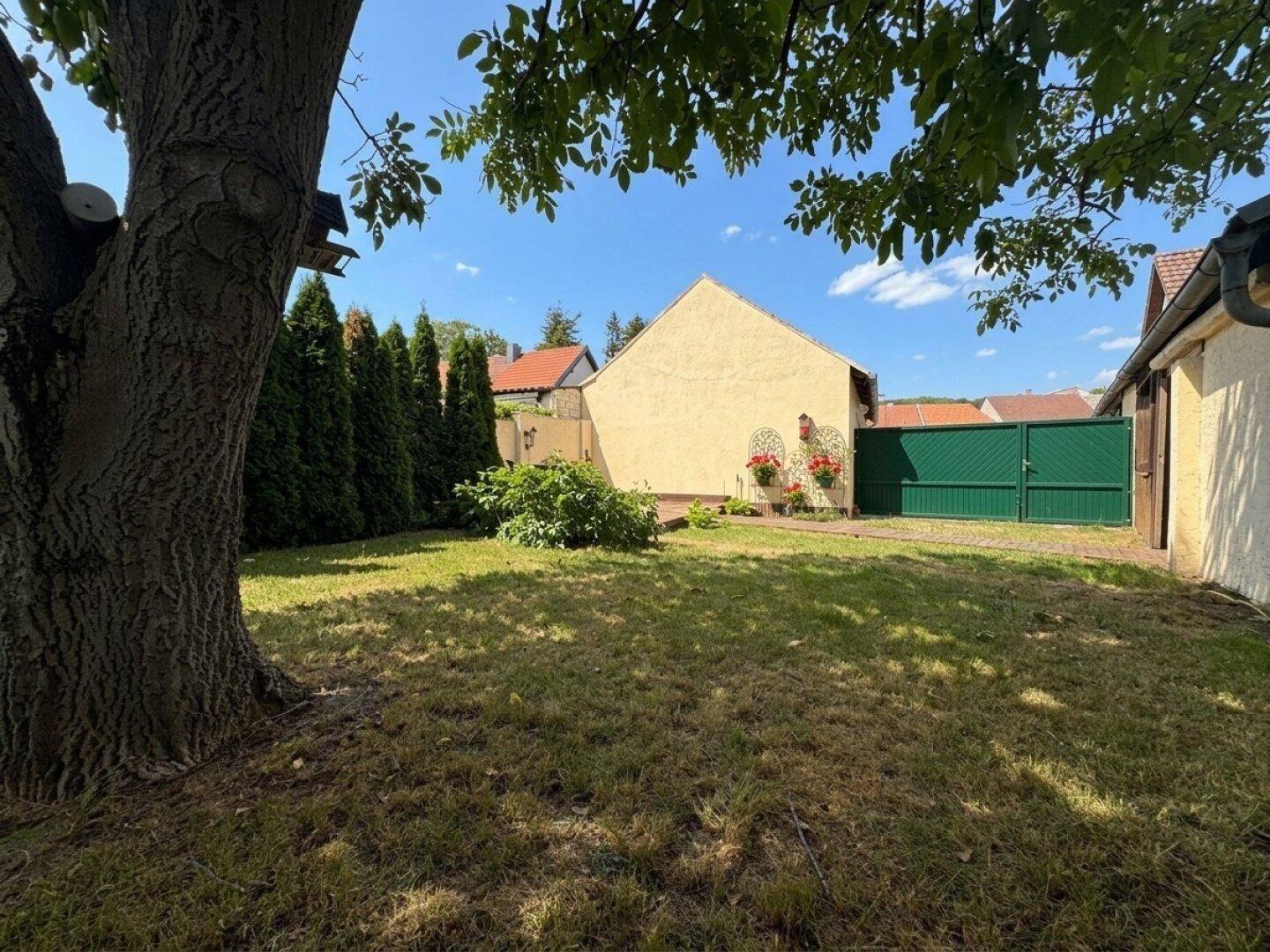 Grüner Gartenbereich mit Rasenfläche, großem Baum und Hecken im Hintergrund, ideal zum Entspannen.