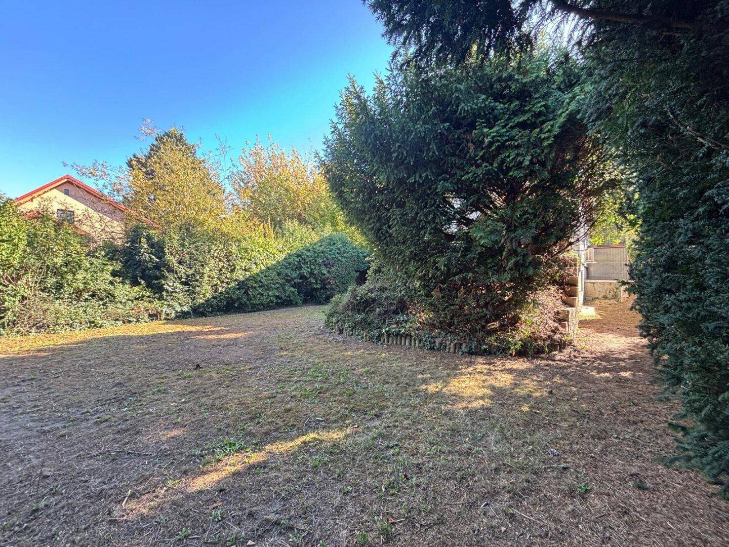 Großer, sonniger Garten mit altem Baumbestand und viel Platz zum Entspannen.