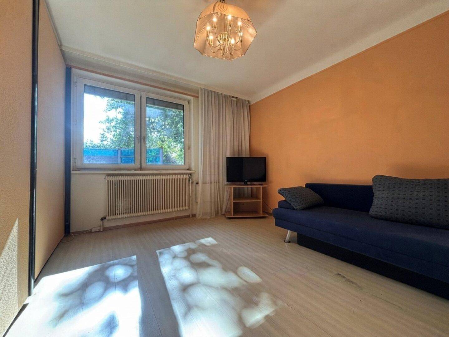 Freundliches Zimmer mit Holzboden, farbiger Wand und viel Tageslicht.