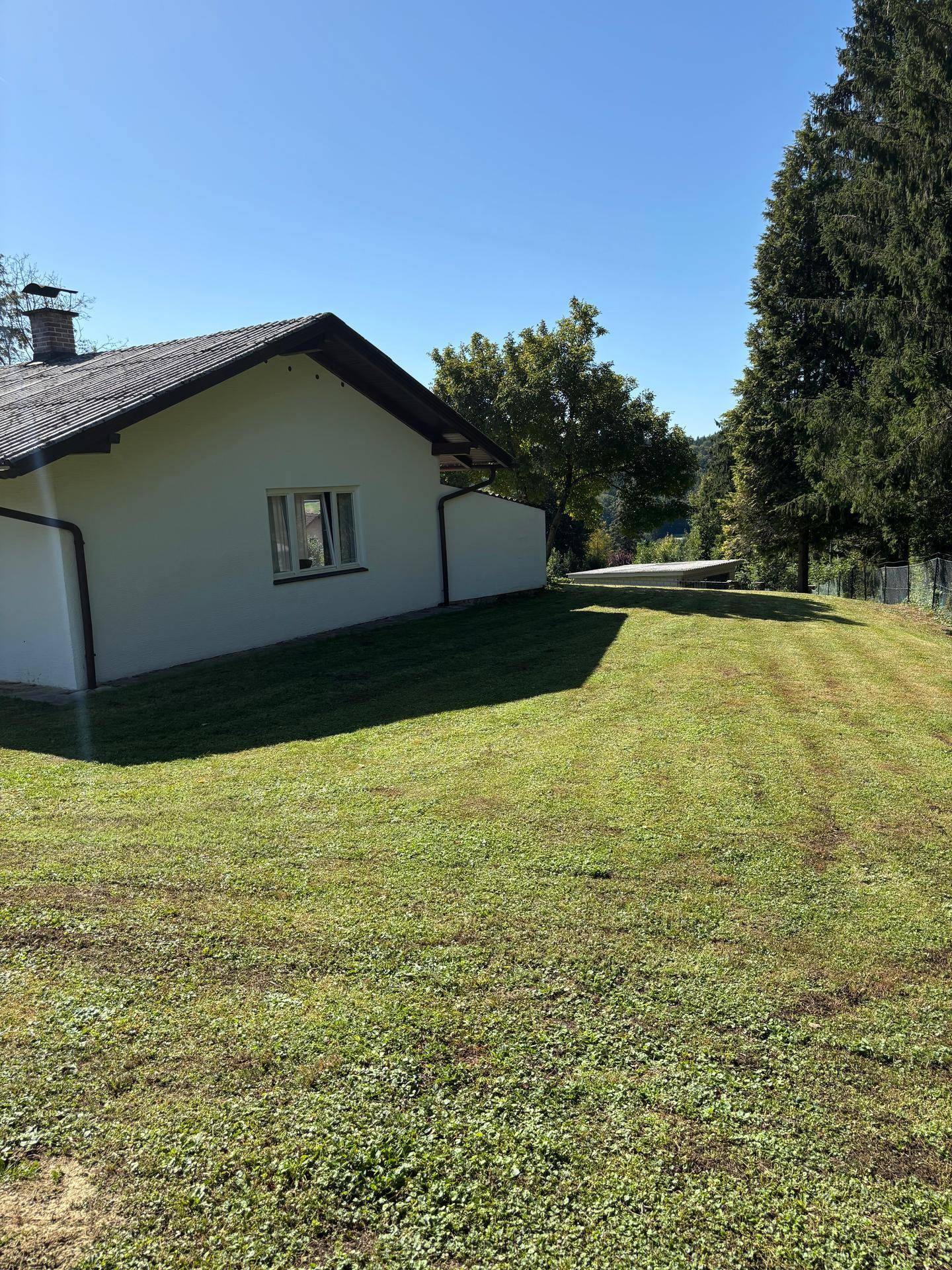 Seitenansicht des Hauses mit gepflegtem Rasen und hohen Bäumen im Hintergrund.