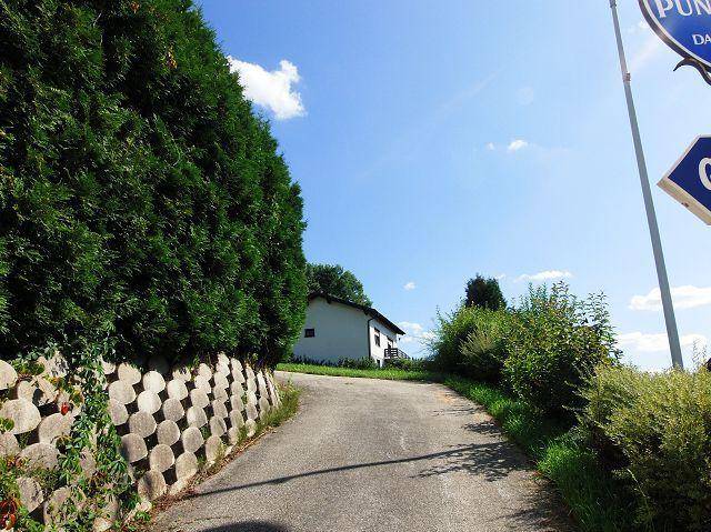 Zufahrtsweg zum Haus, gesäumt von einer hohen Hecke und einer robusten Stützmauer.