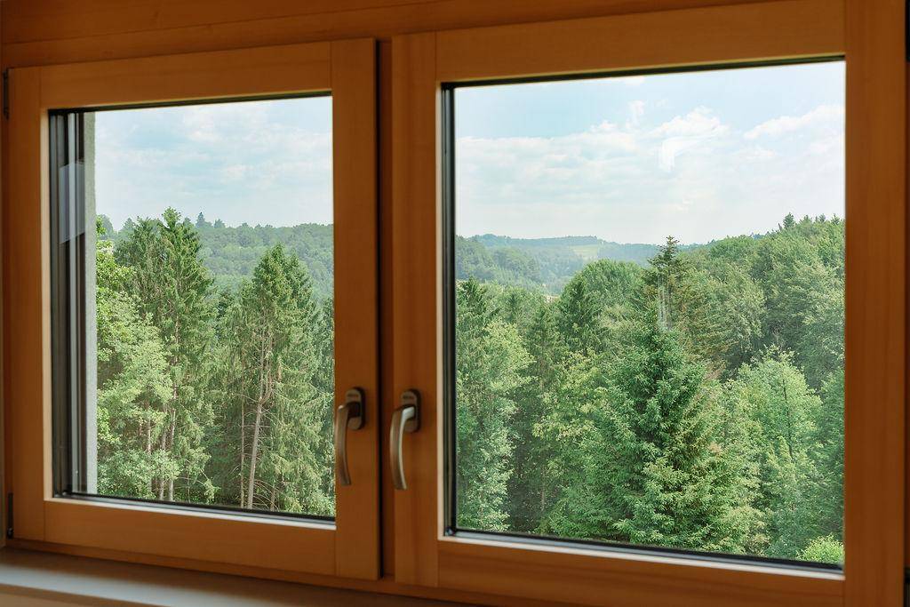 Fenster mit Holzrahmen bietet einen weiten Blick auf die grüne Waldlandschaft.