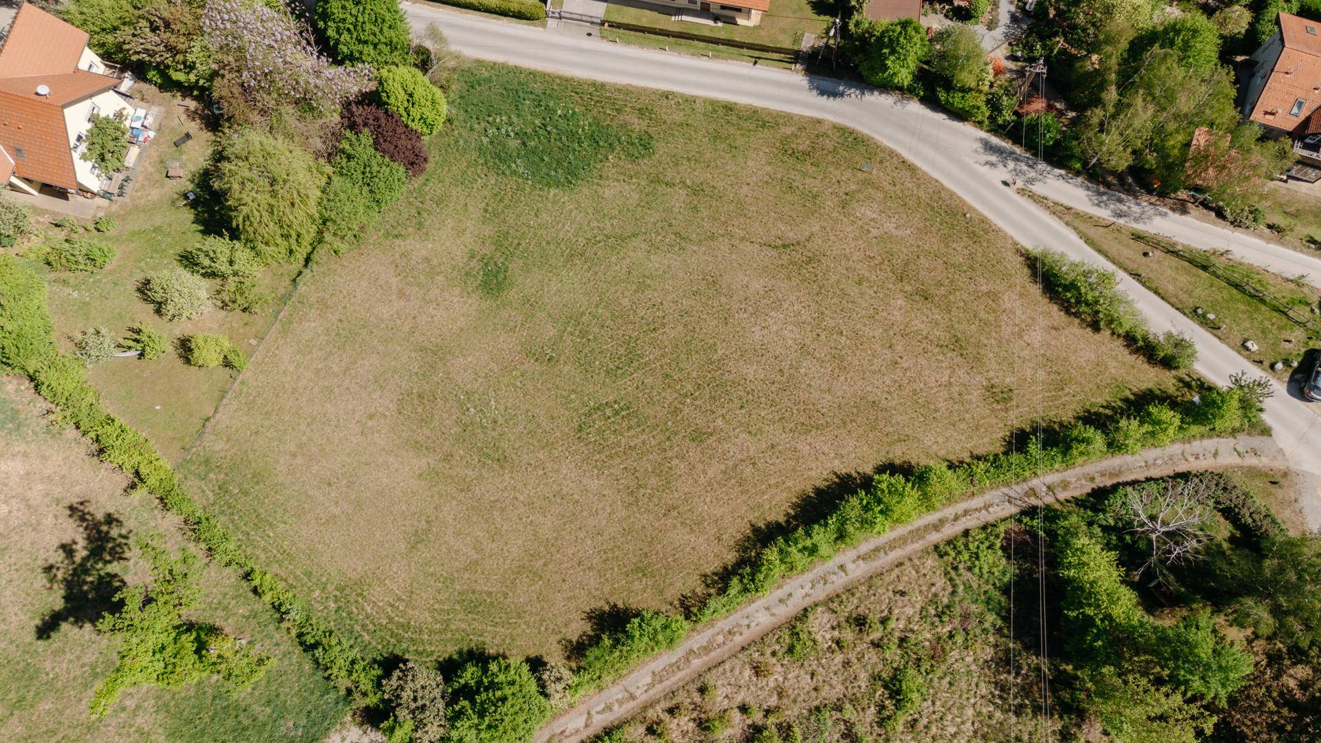 Übersicht über ein großes, offenes Grundstück mit trockenerem Gras, umgeben von Wegen und Bäumen.