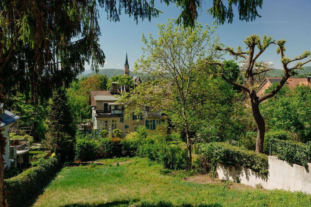 Grüner Gartenbereich mit altem Baumbestand, Hecken und Blick auf die umliegenden Häuser.
