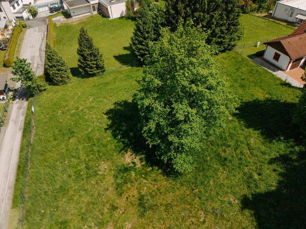 Luftaufnahme eines unbebauten Grundstücks mit viel Grün und einem einzelnen Baum.