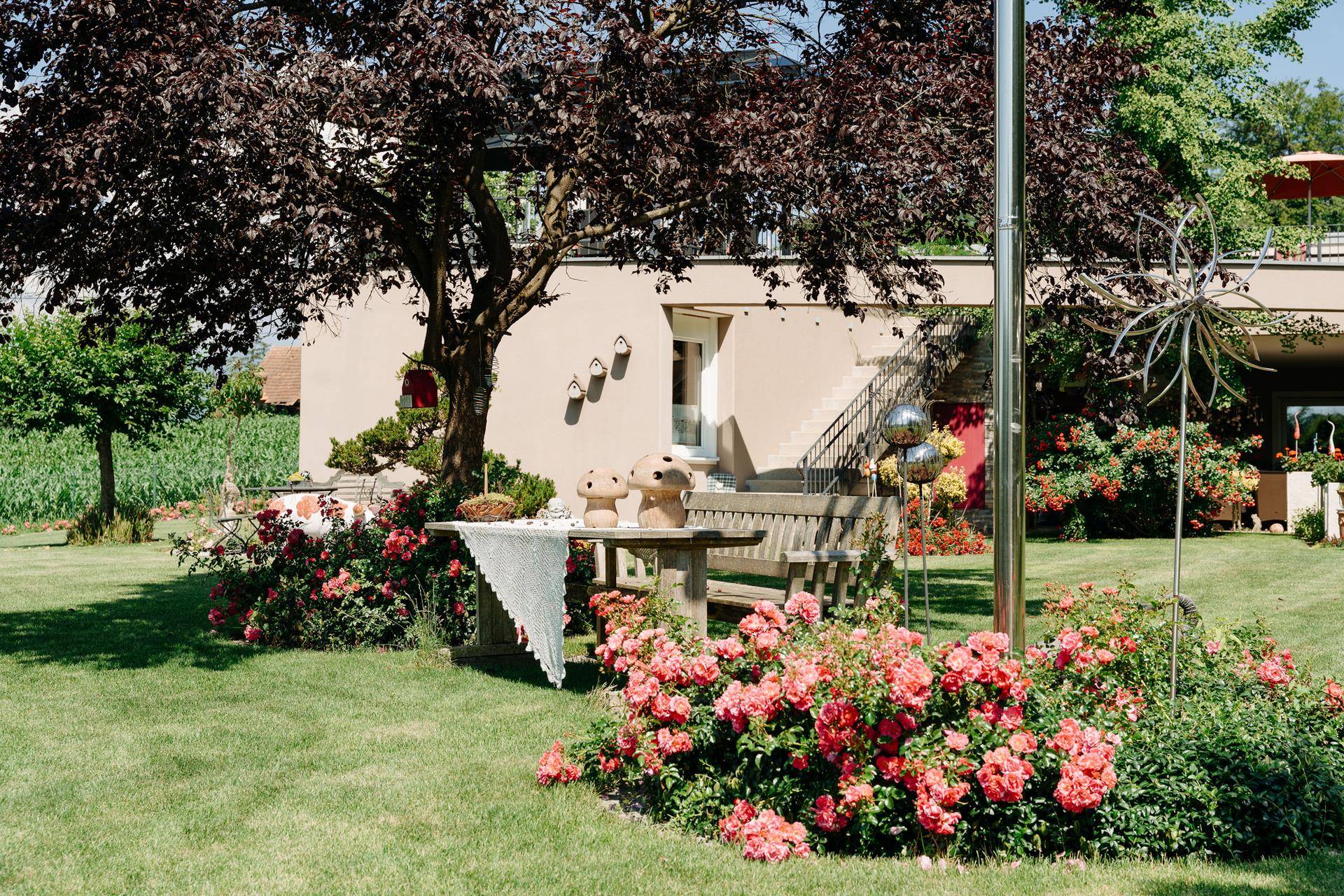 Gartenbereich mit Sitzgelegenheit unter einem Baum, umgeben von blühenden Rosen und gepflegtem Rasen.