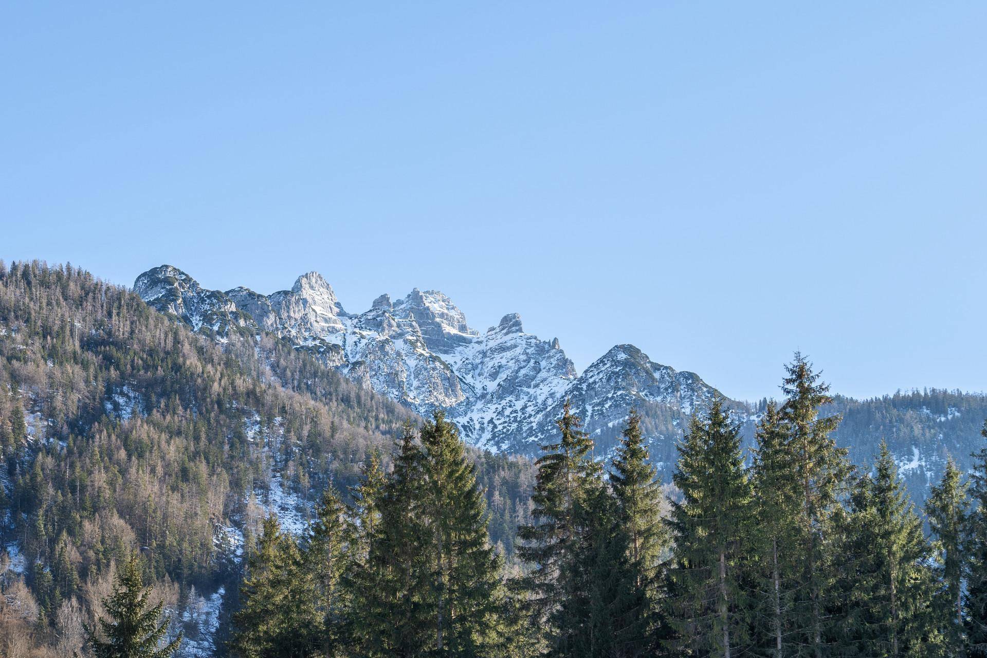 STEINBERGBLICK