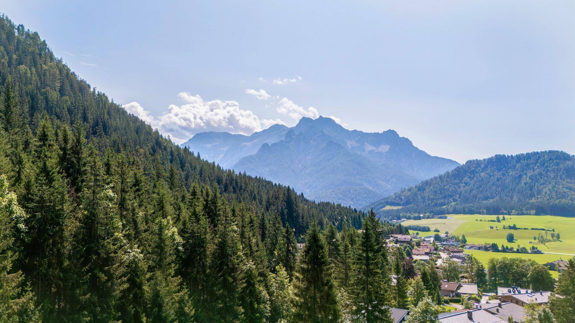 STEINBERGBLICK