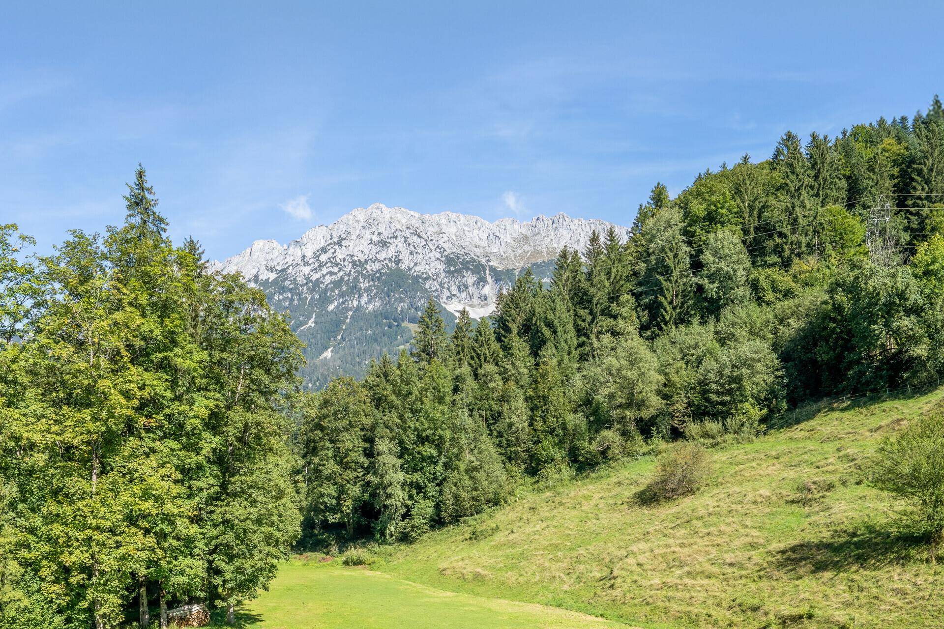KAISERBLICK